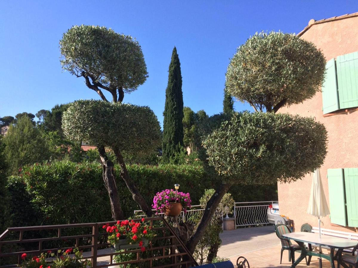Les Oliviers La Cadiere view 3