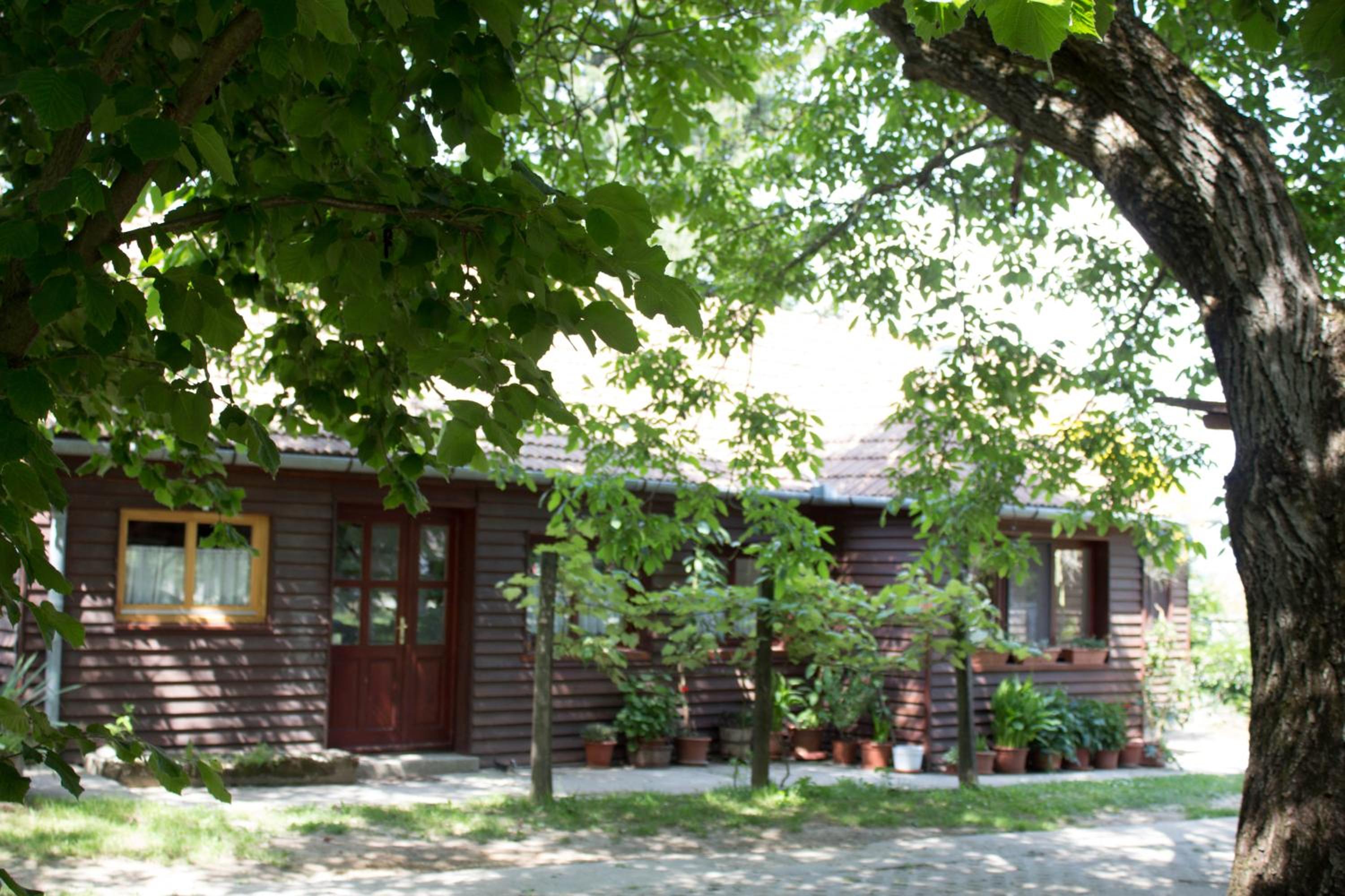 Photo 27