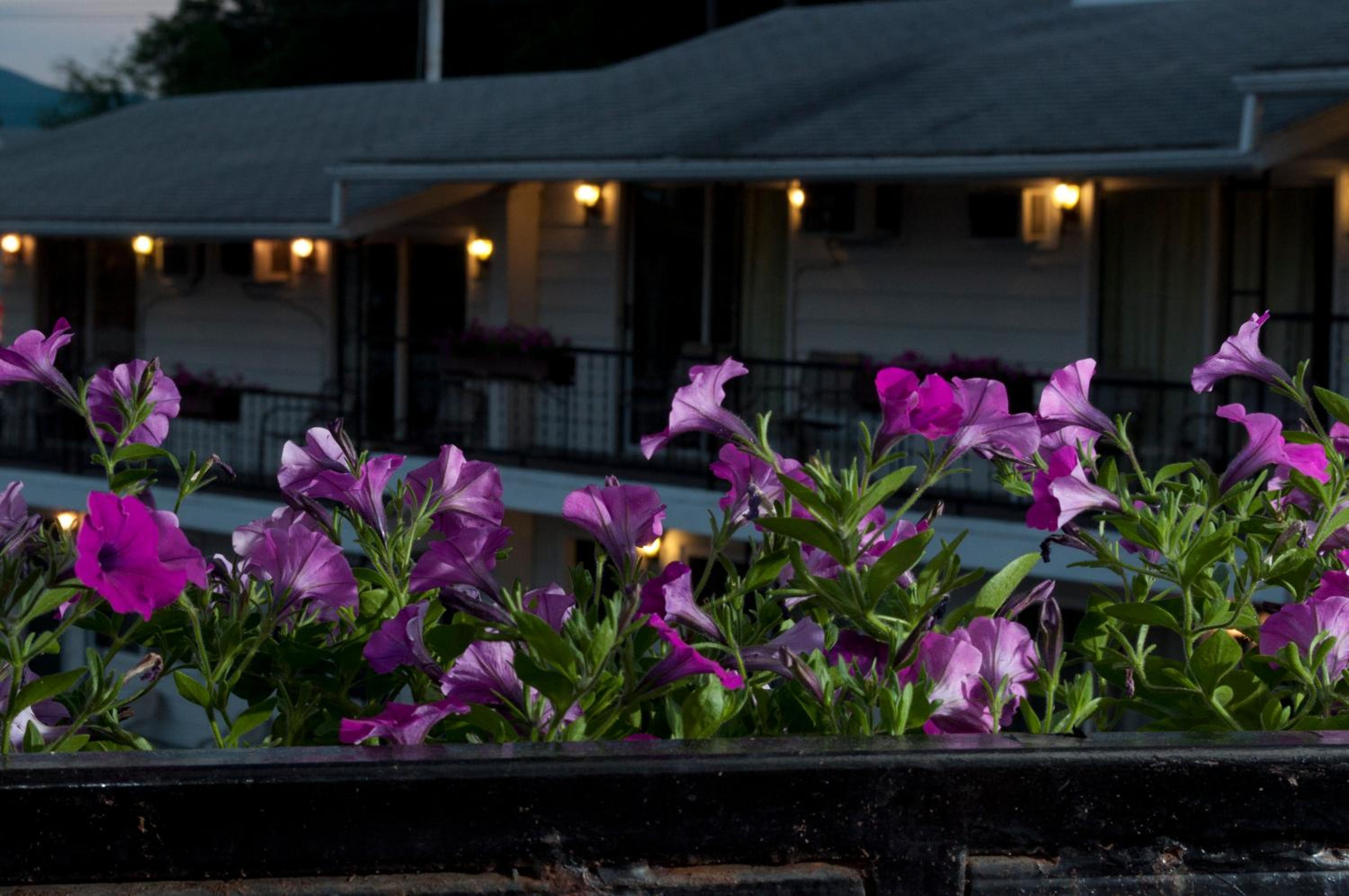 The Lake George Inn