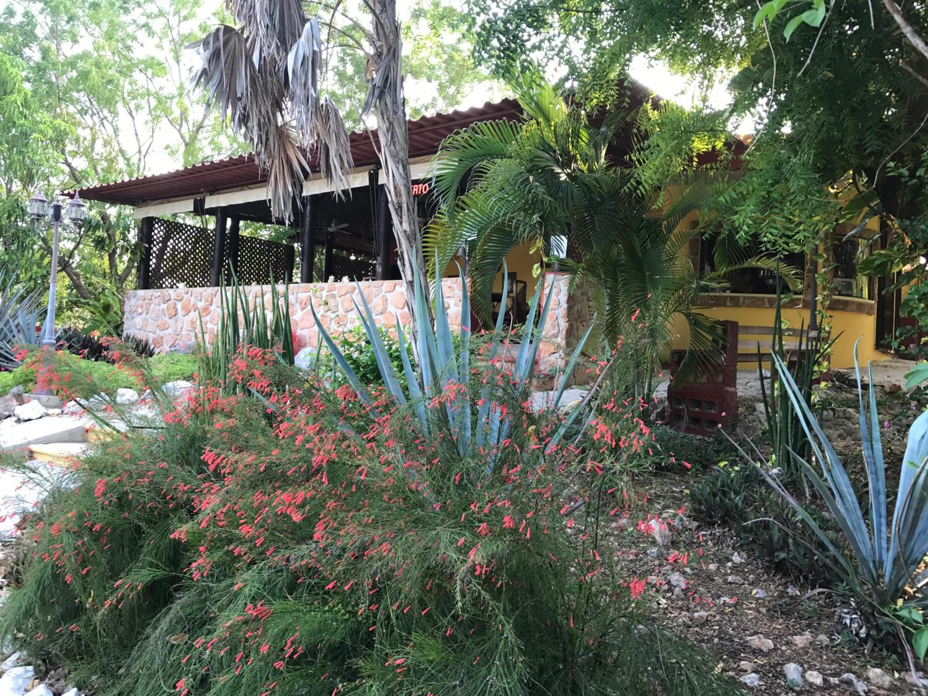 Photo 21