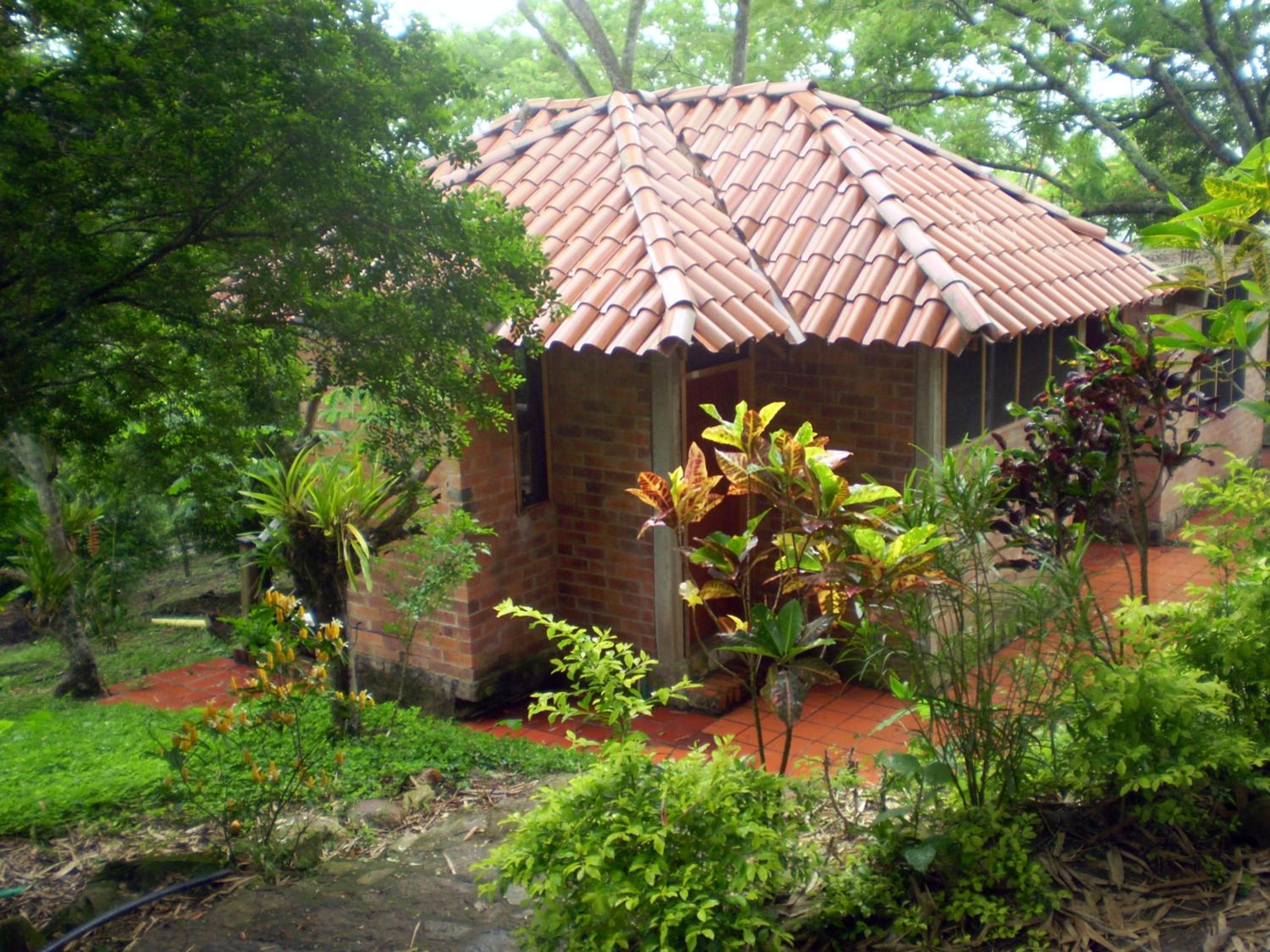 Photo 12