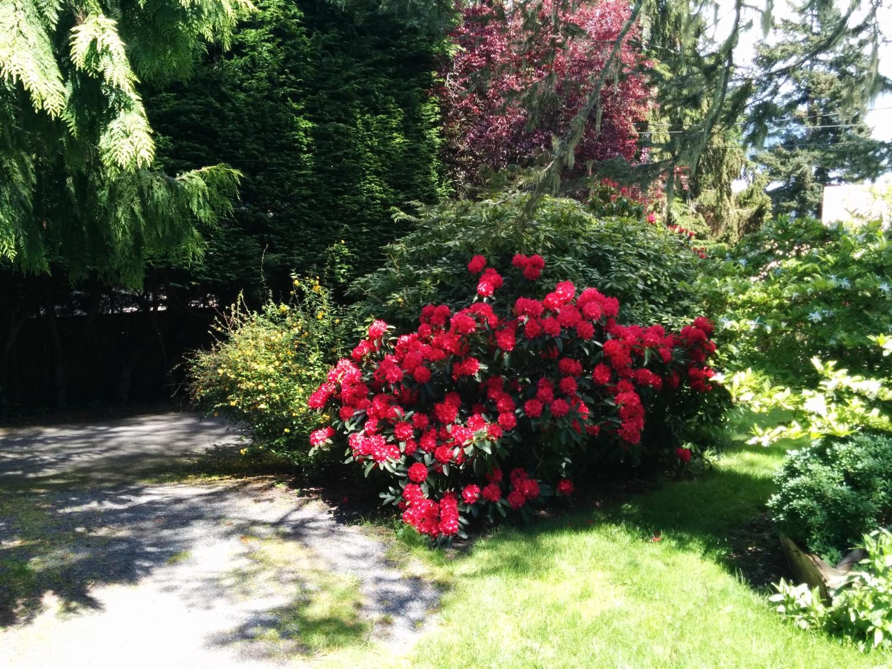 Sooke Vacations - Salty Towers Ocean Front Cottages - Property Image 65