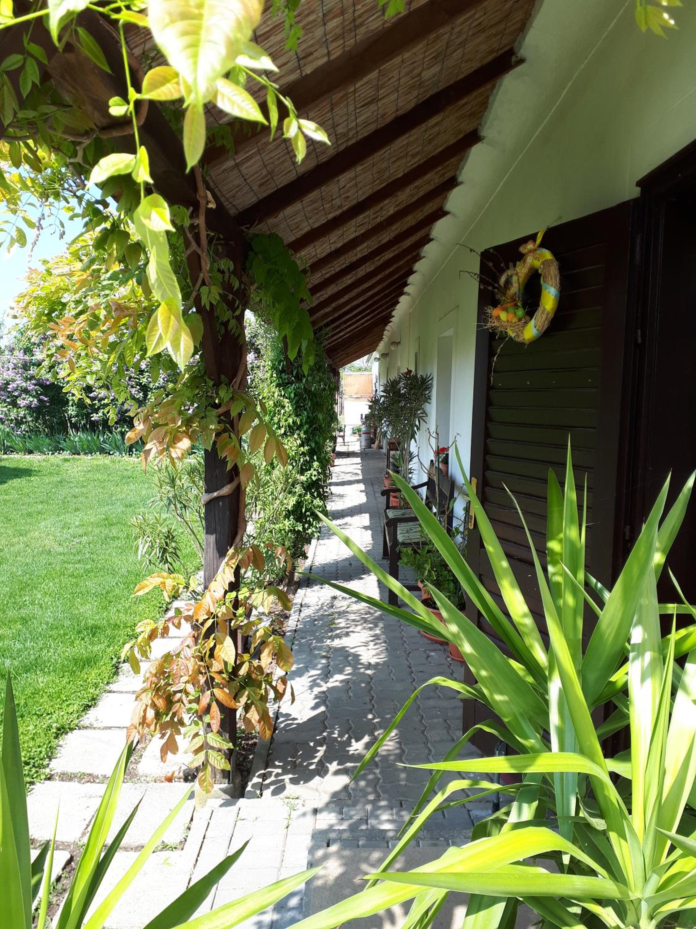 Photo 11