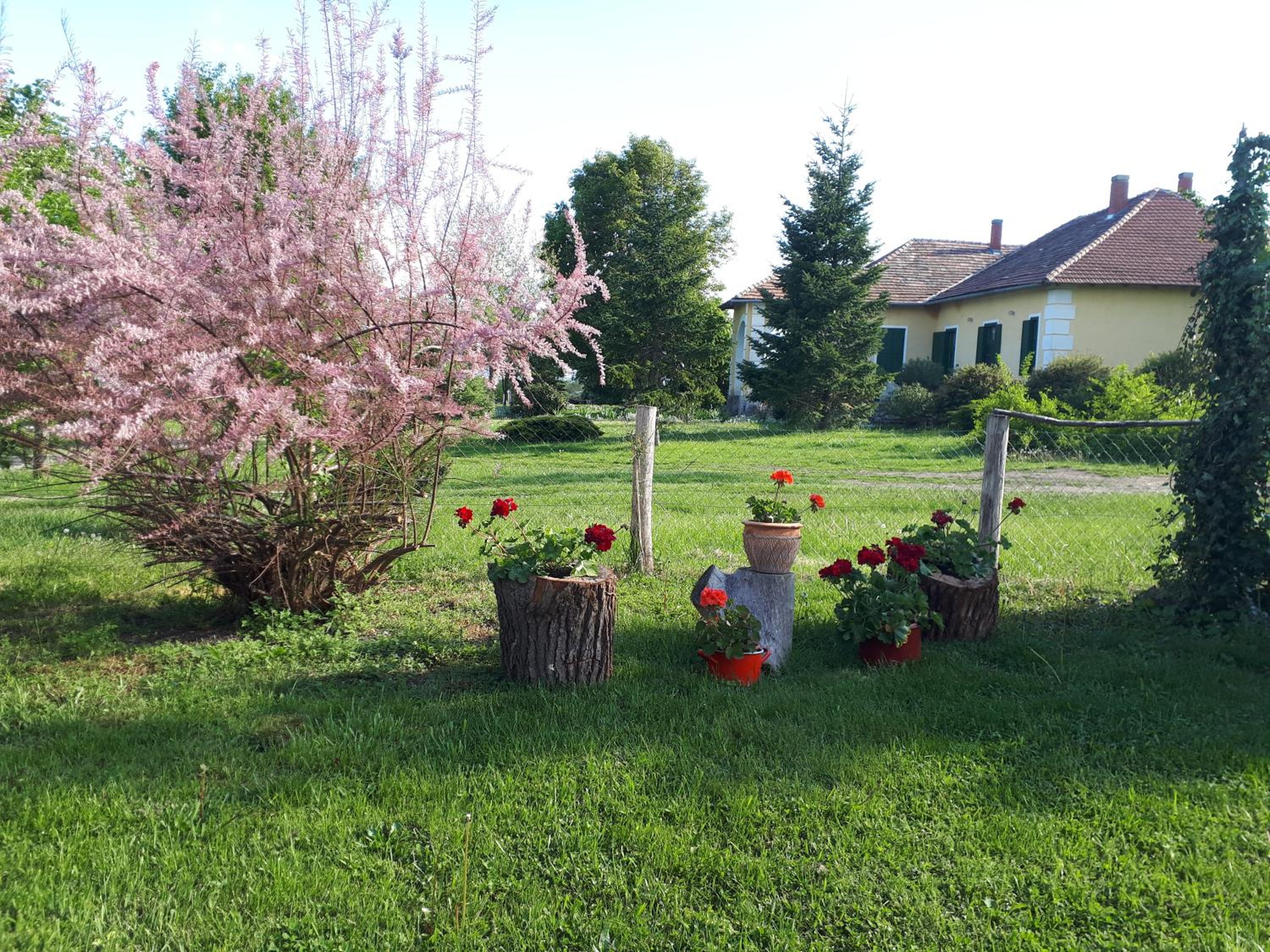 Photo 61