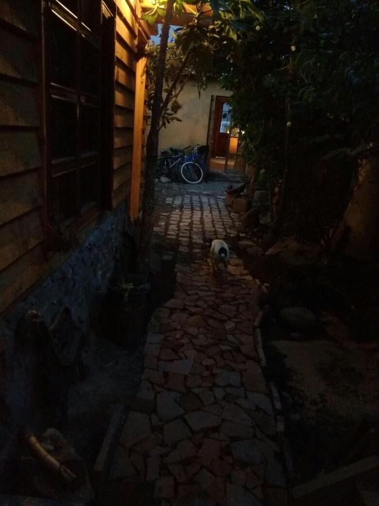 Photo 26
