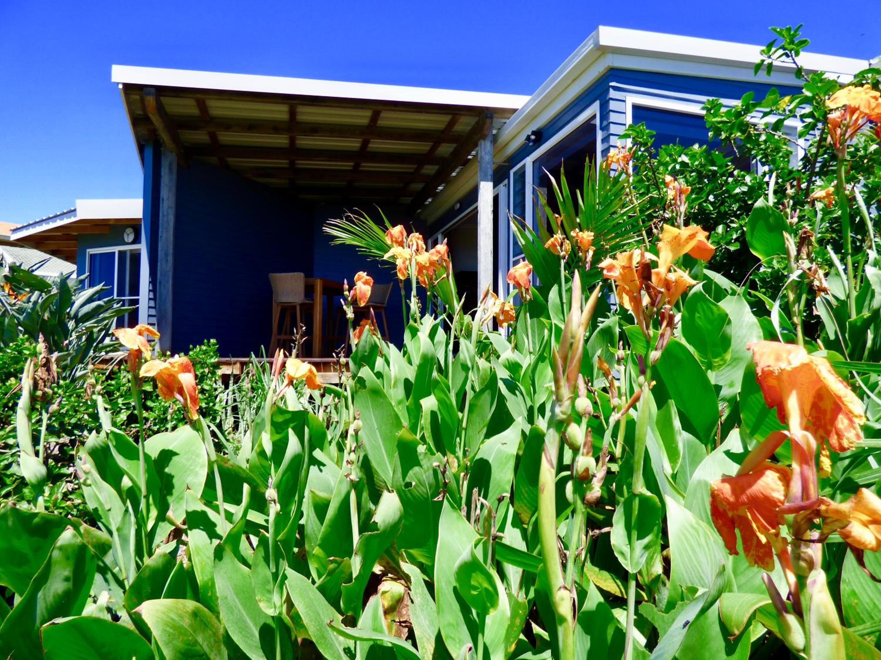 ArtHOUSE Beachfront Accommodation