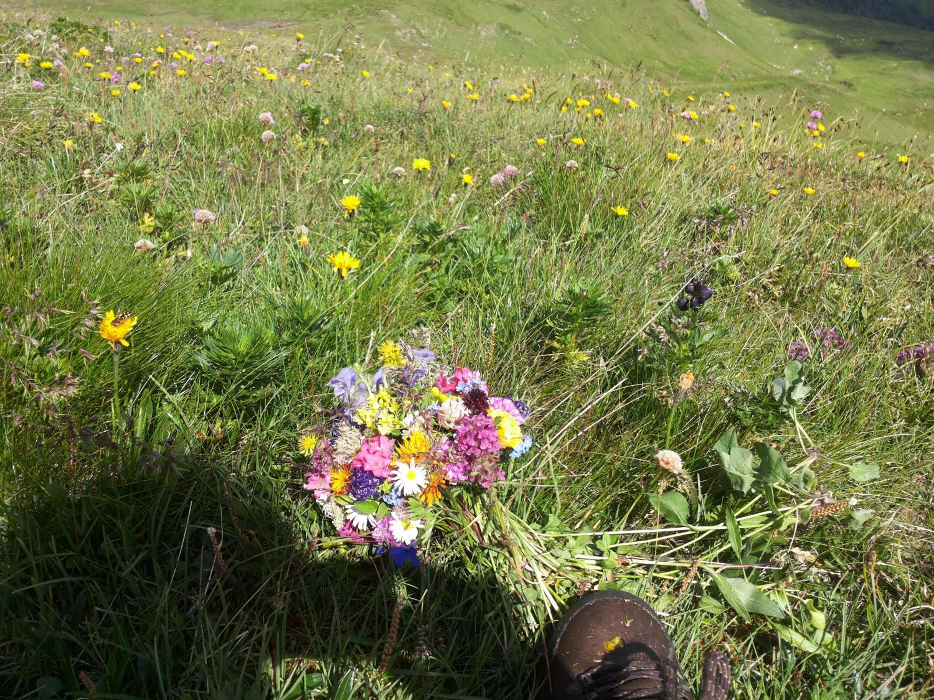 Brandstättergut