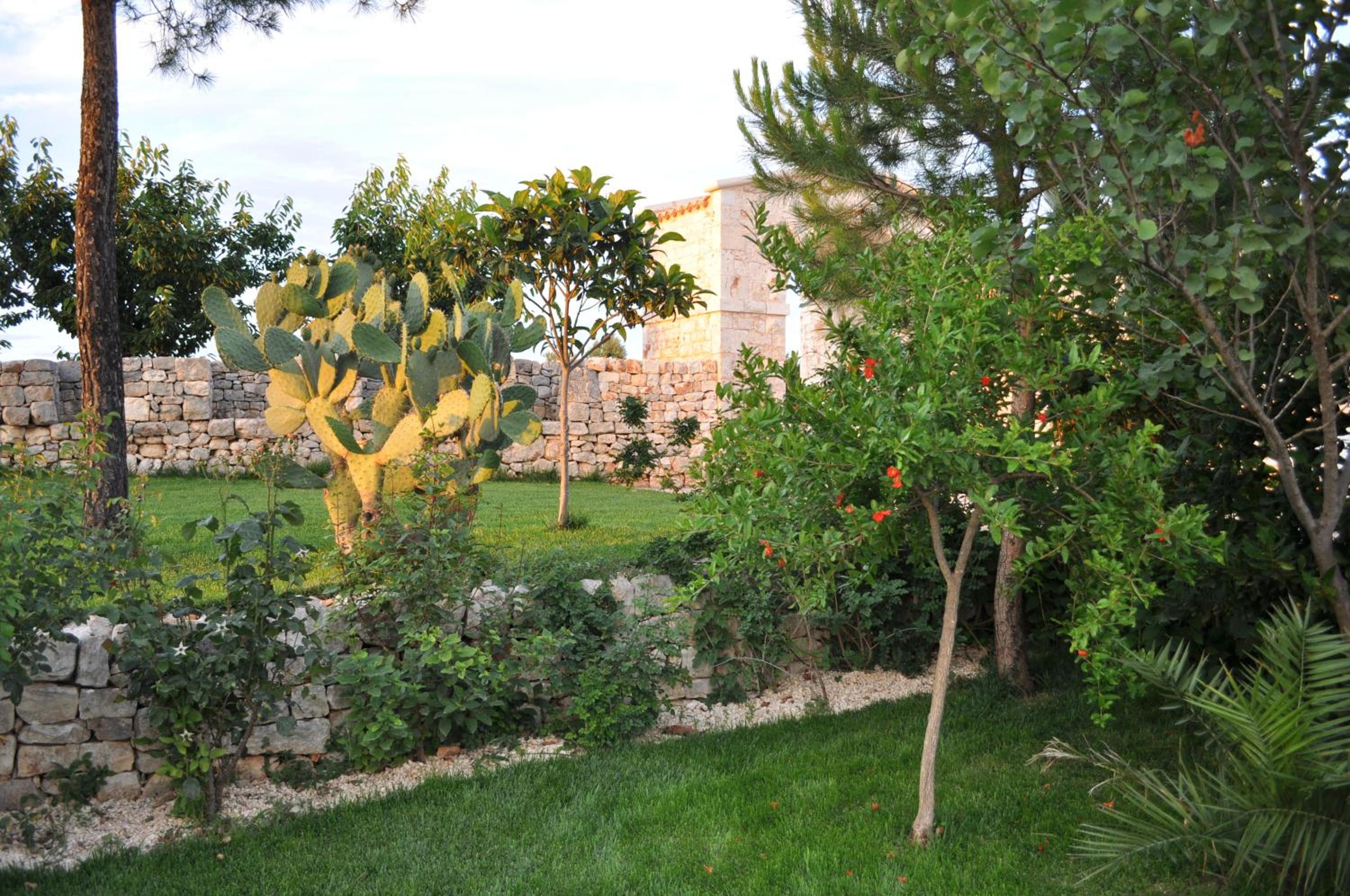 Photo 26