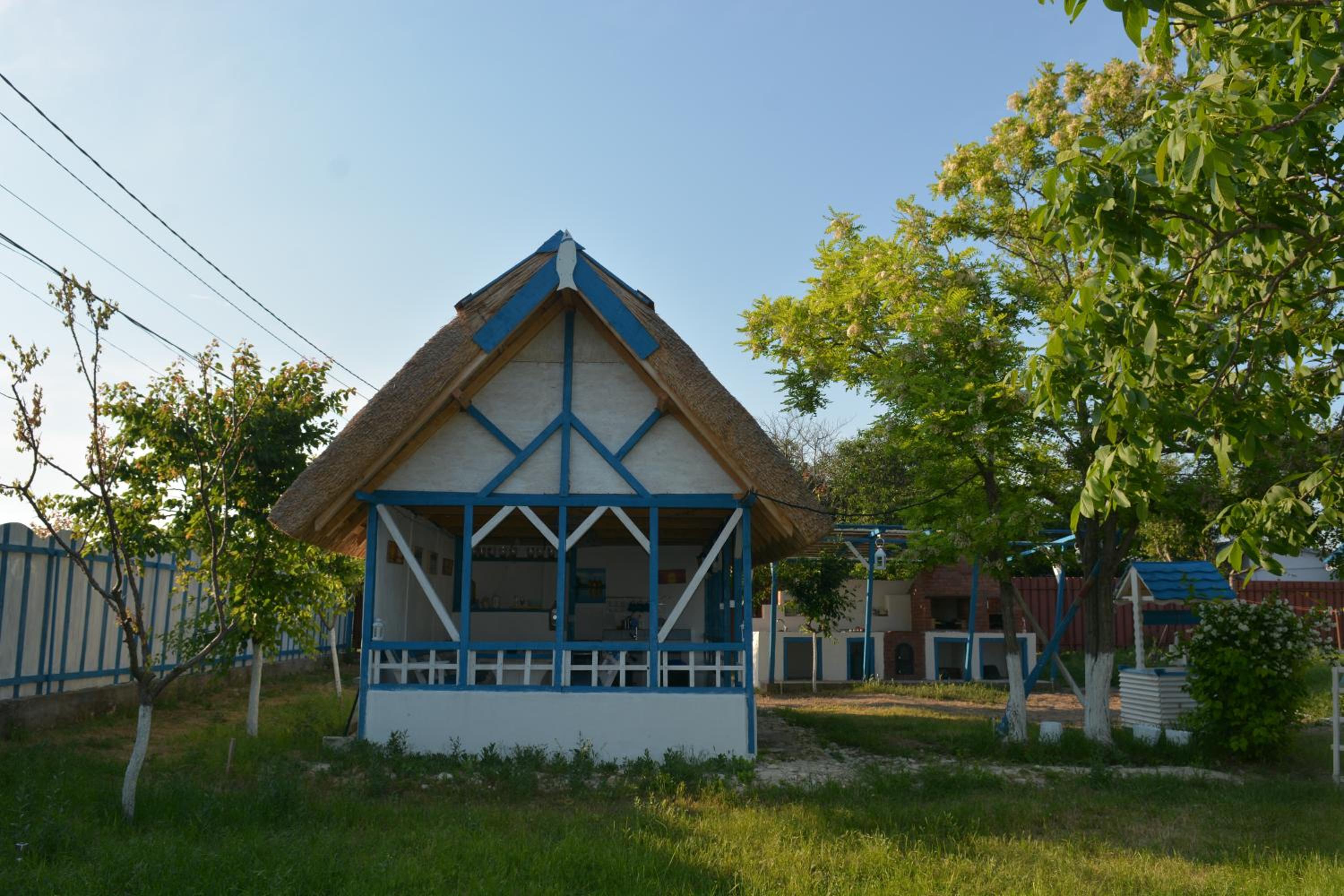 Photo 11