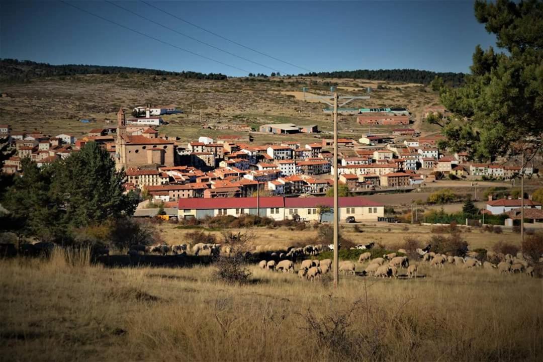 Photo 27
