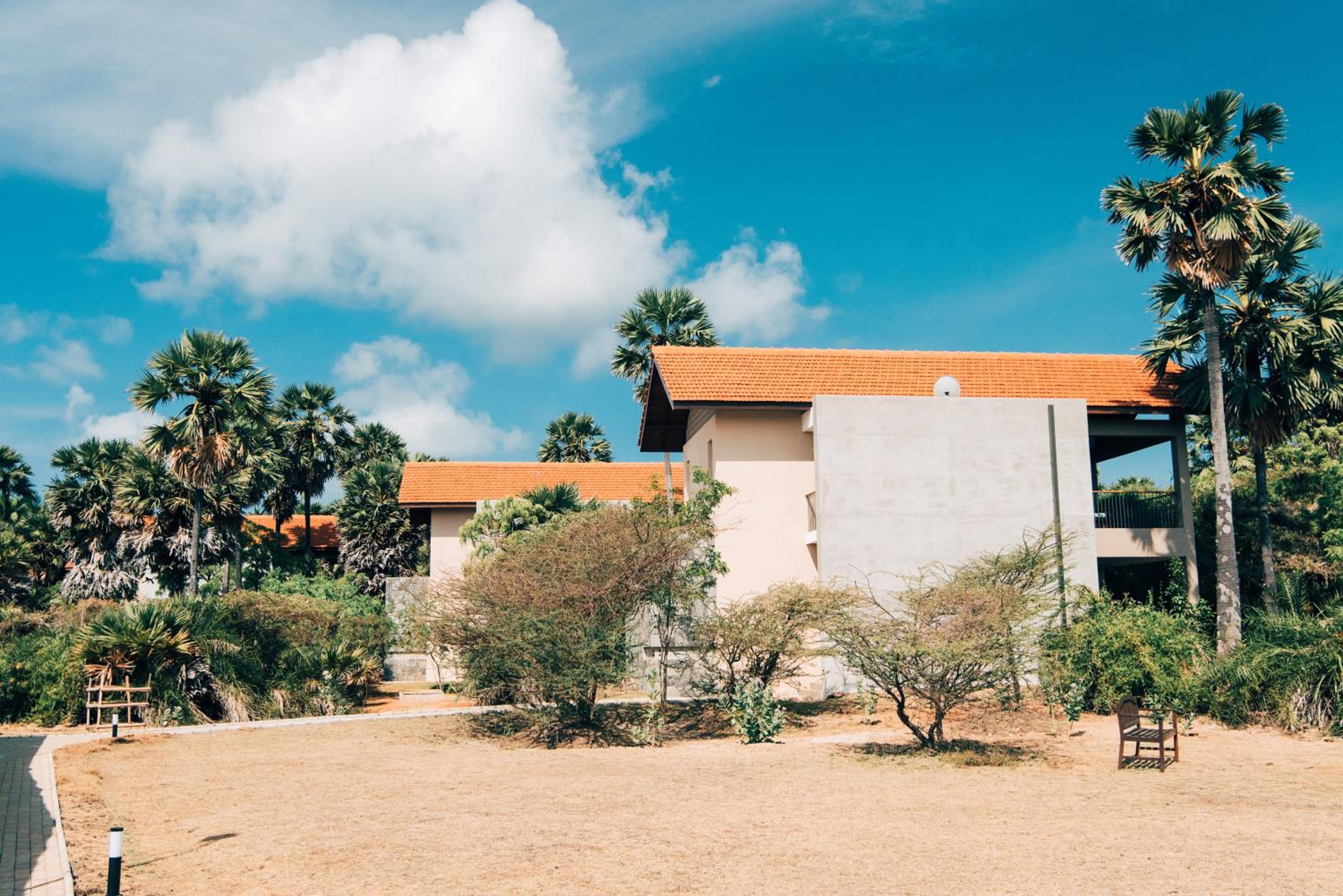 The Palmyrah House