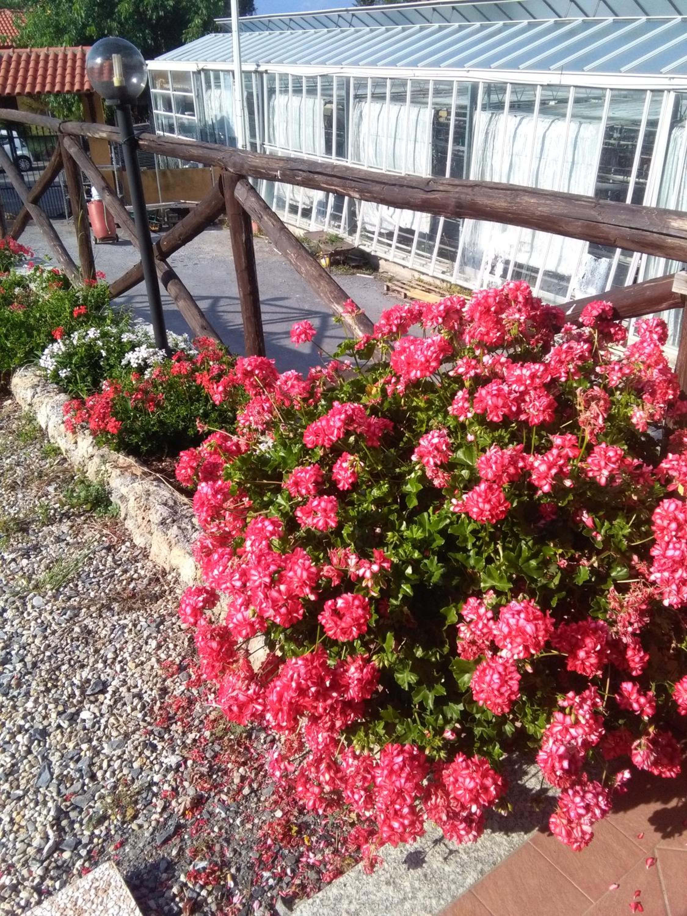 Agriturismo Tendapiccola