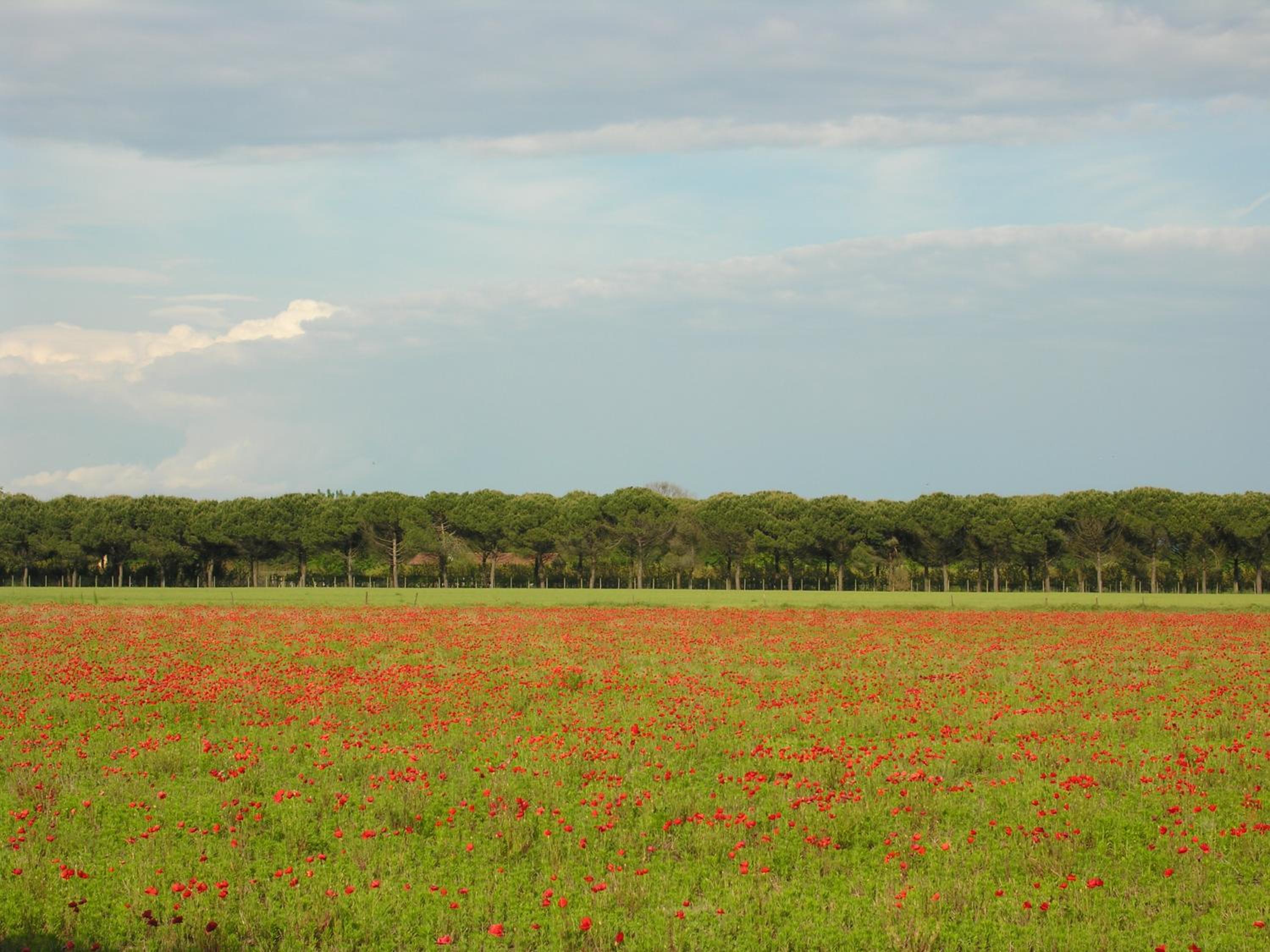 Appartamento Riviera