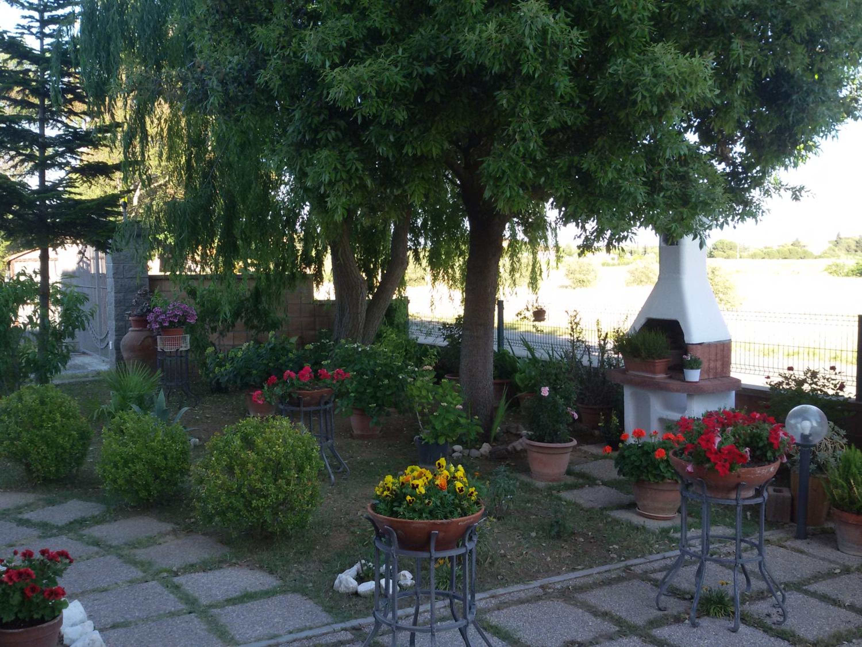 Photo 18