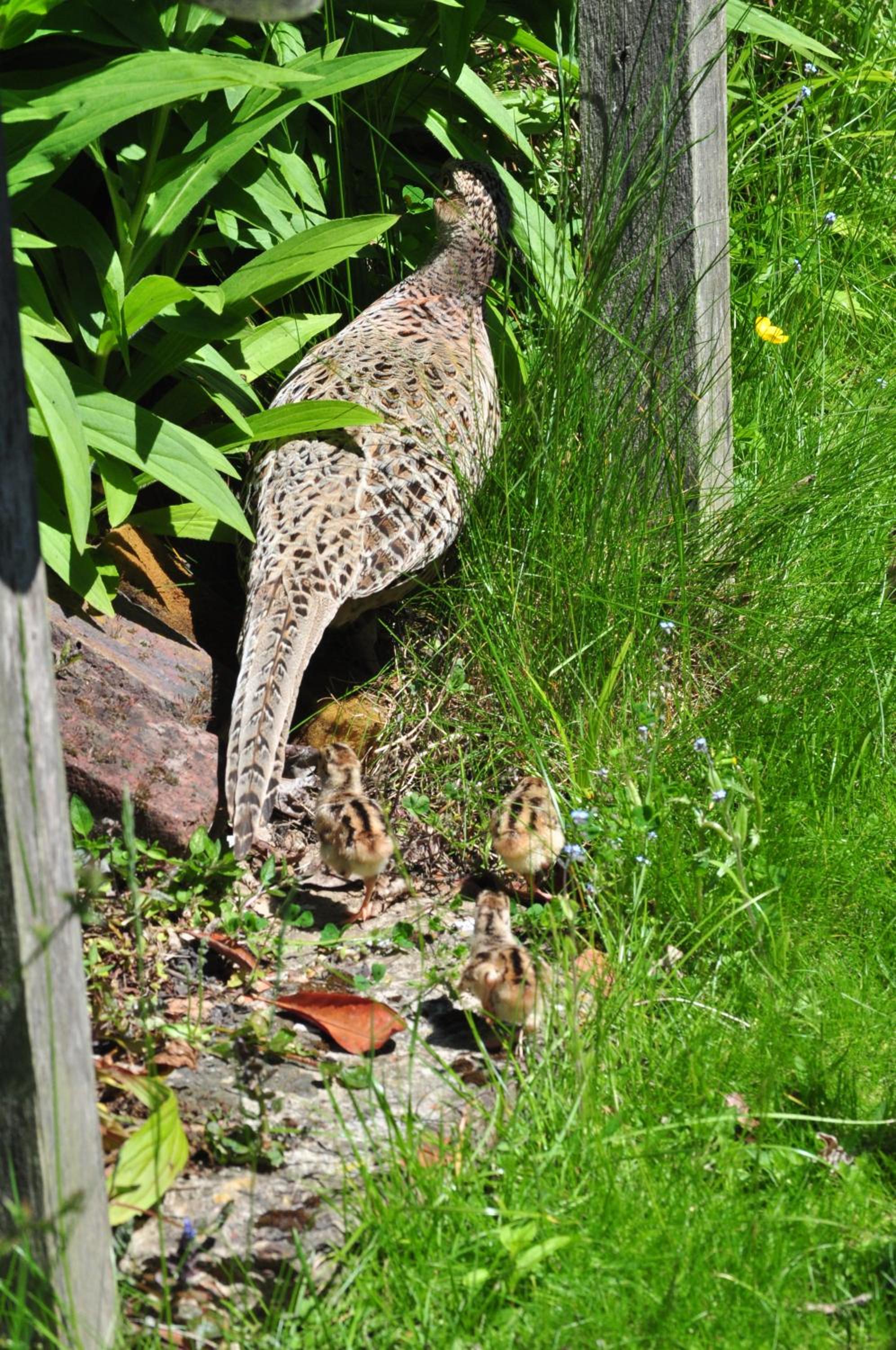 Photo 21