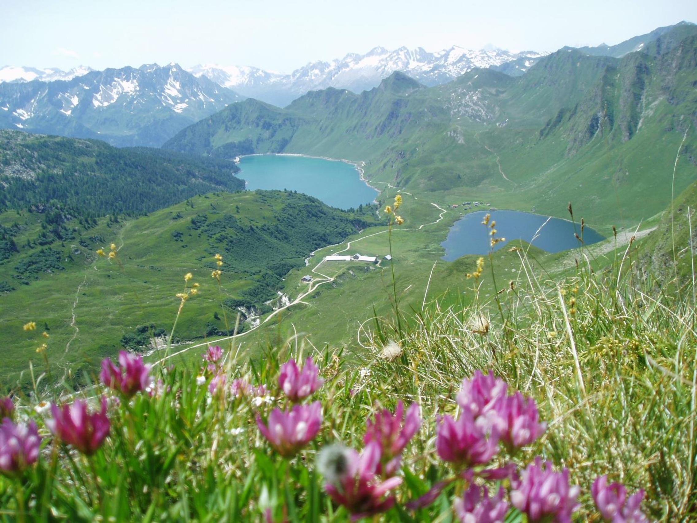 B&B Gottardo