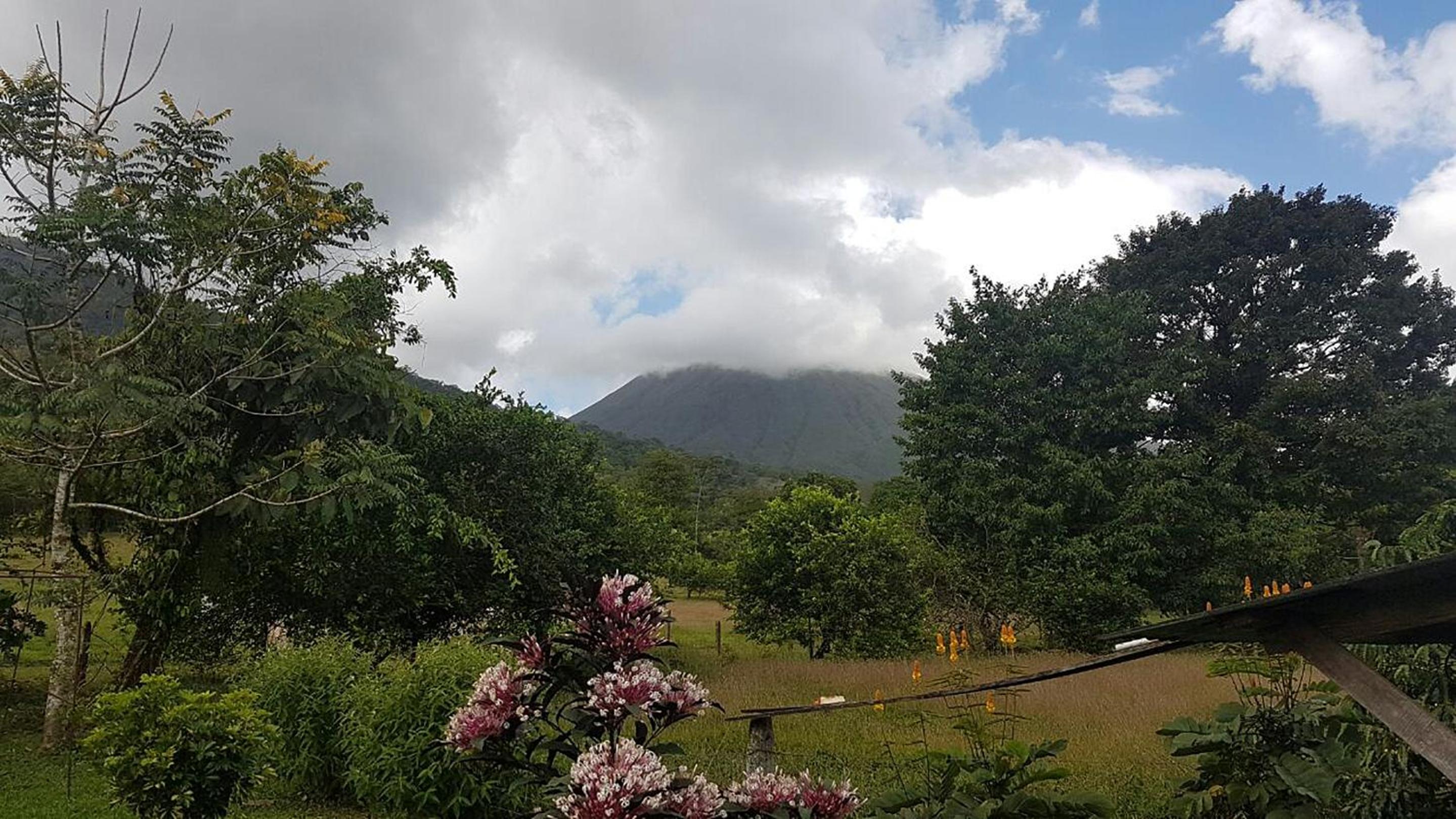 Tío Felix Eco Lodge