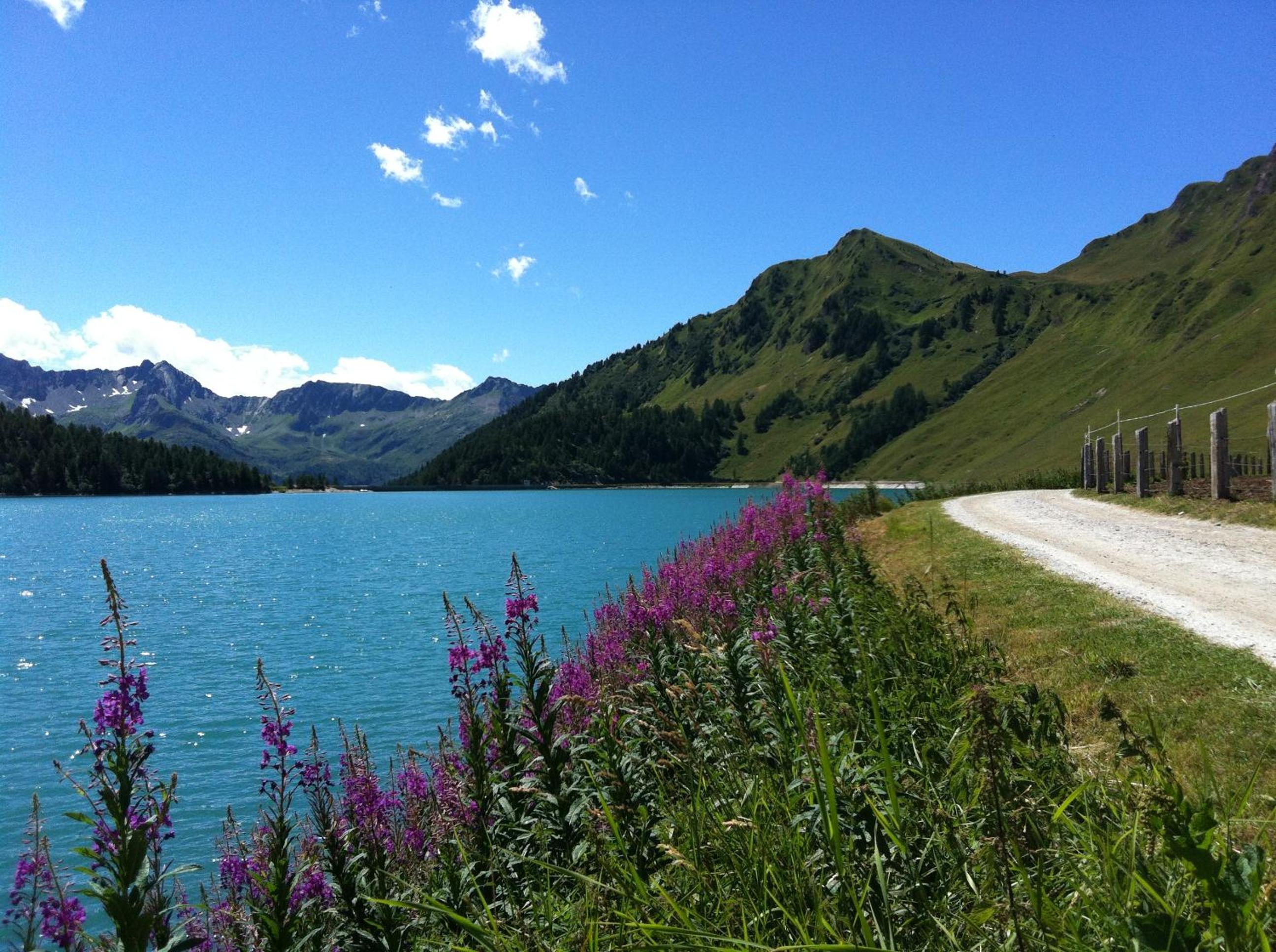 B&B Gottardo