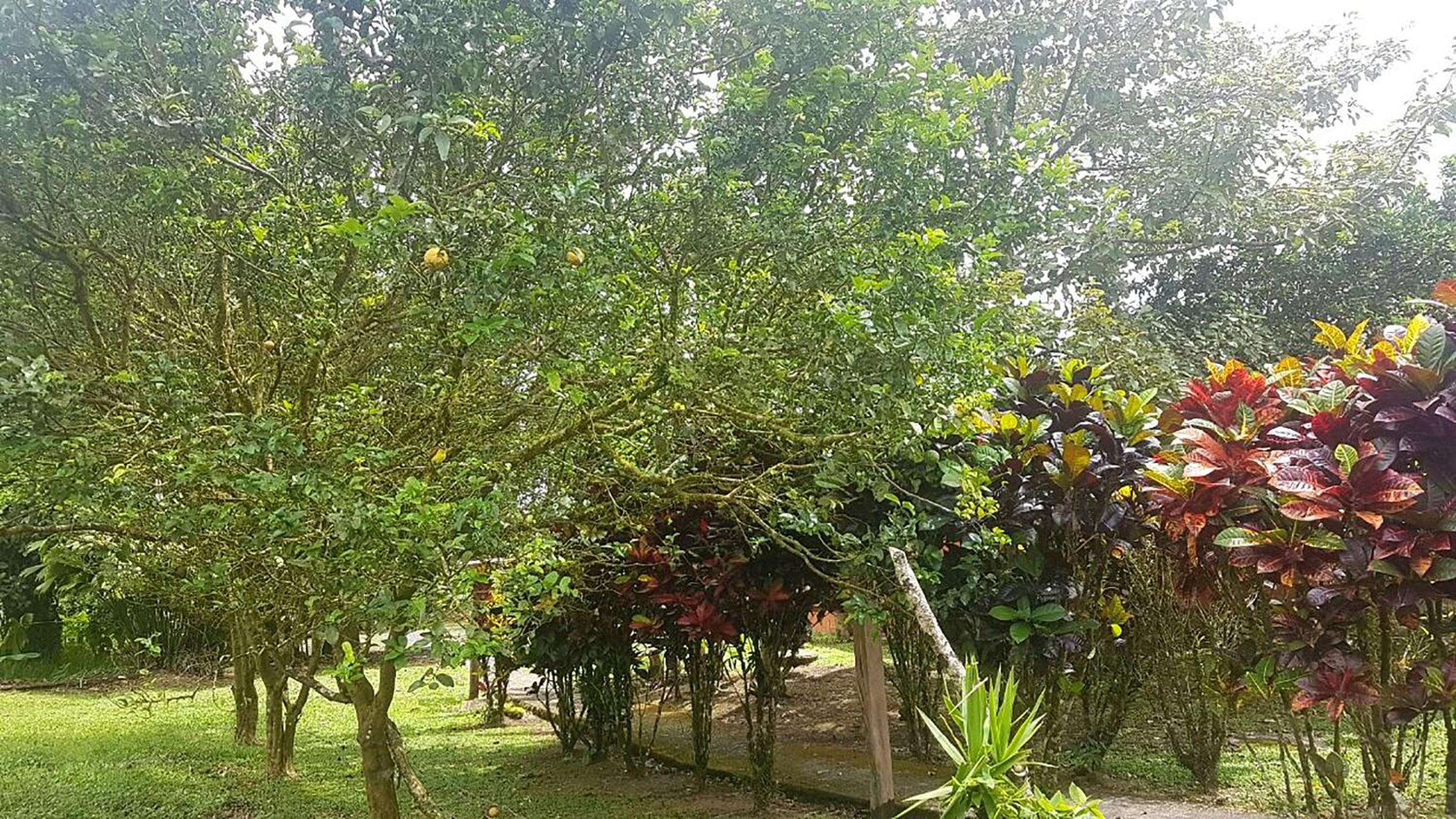 Tío Felix Eco Lodge