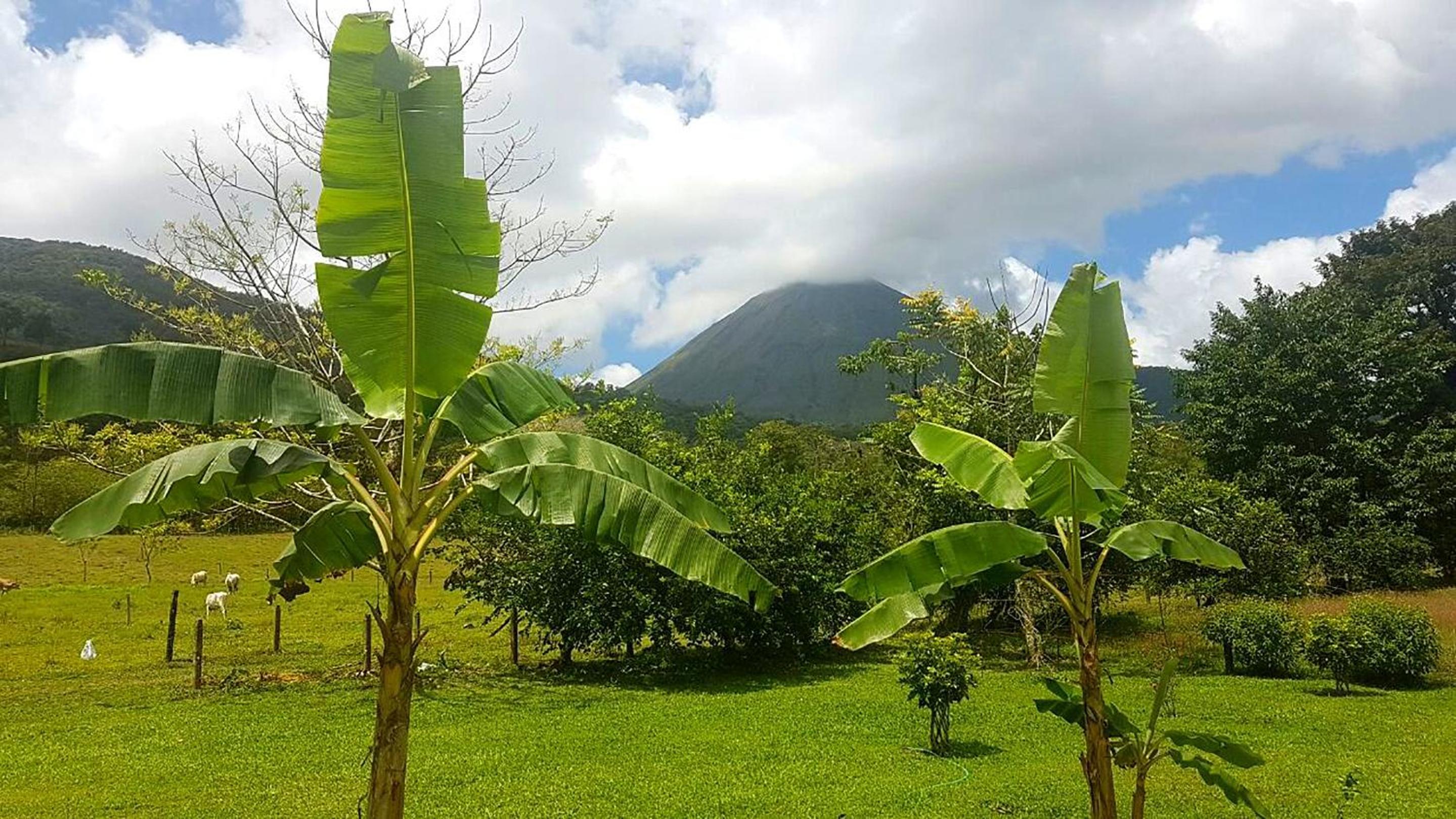 Tío Felix Eco Lodge