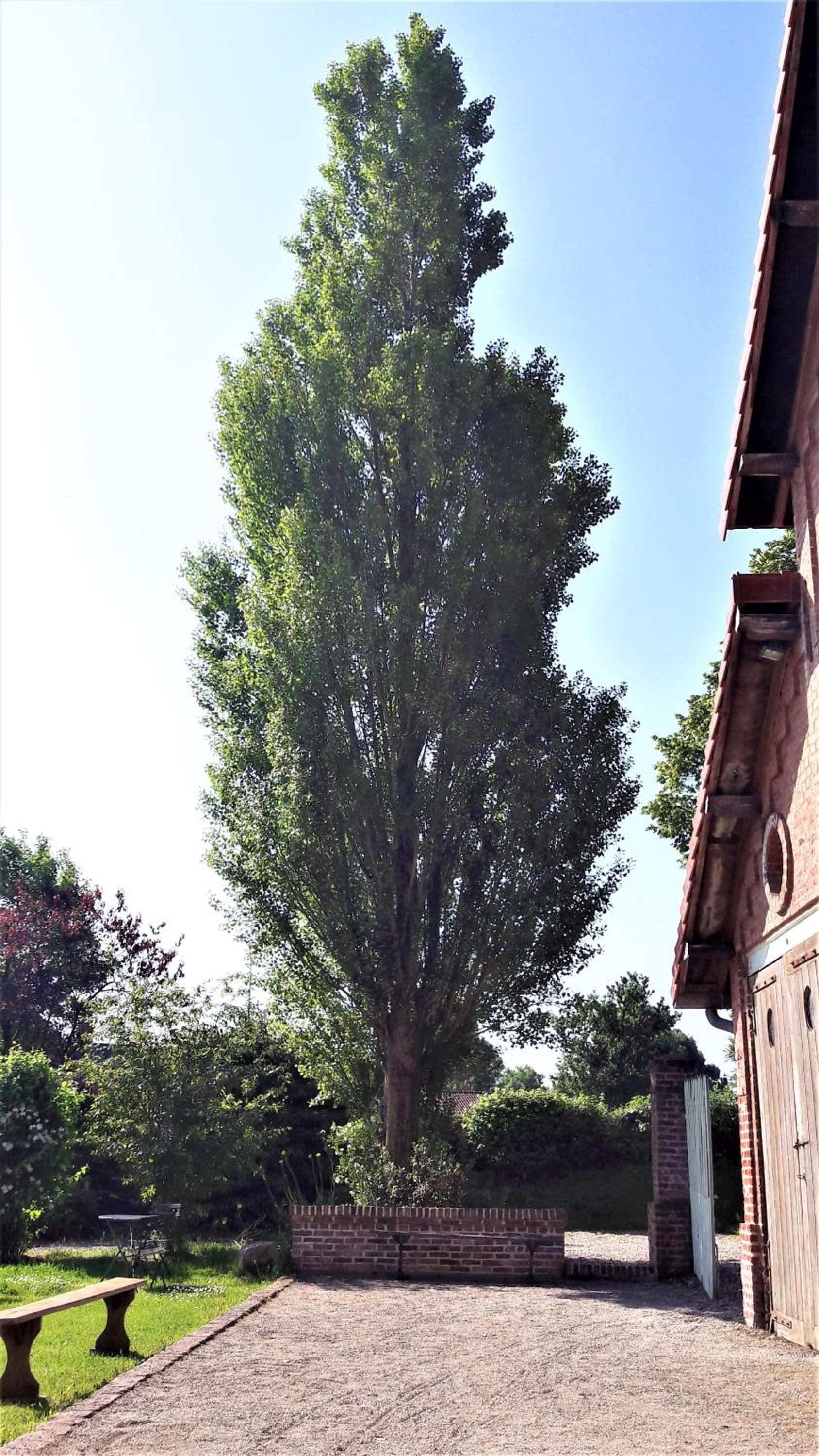 Photo 27