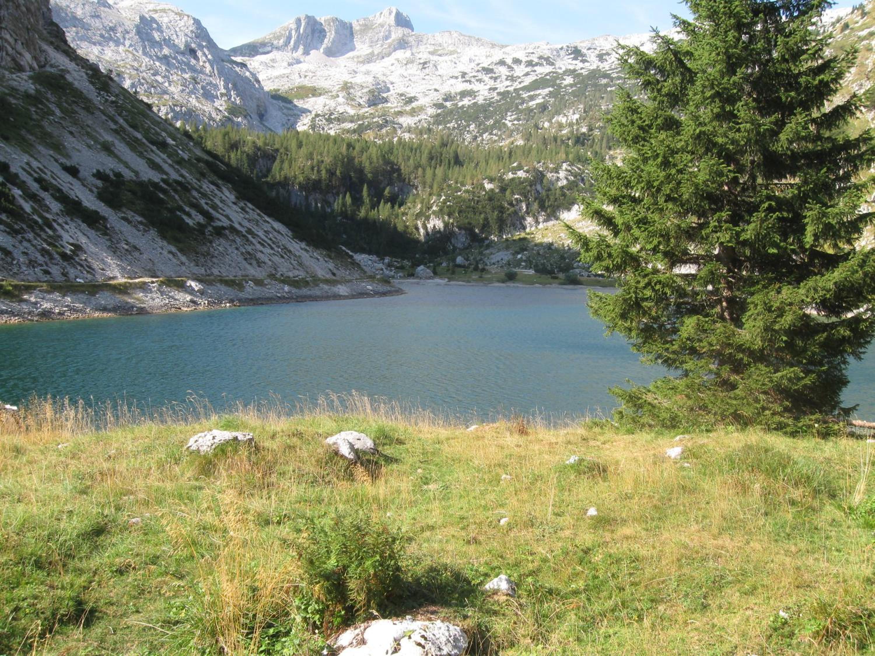 Photo 32