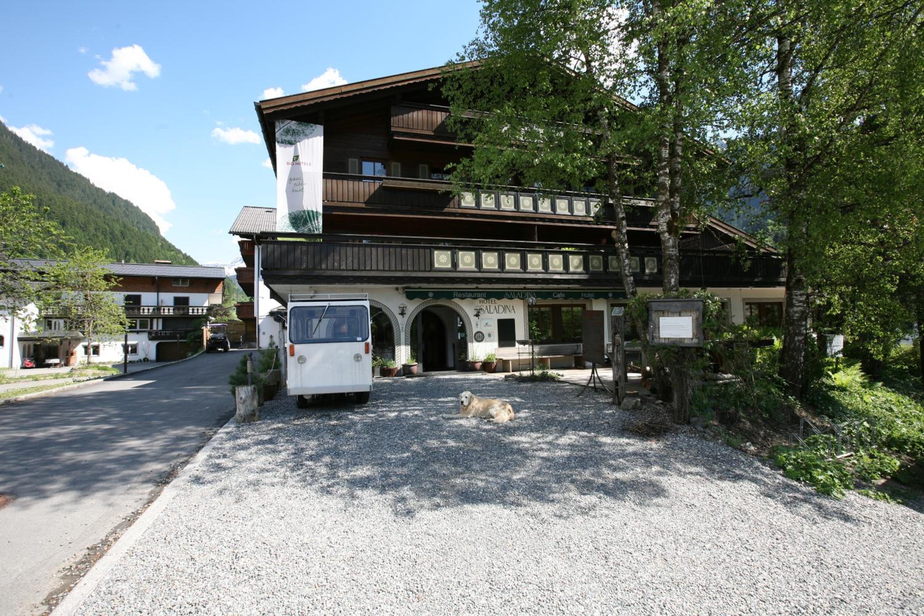 Aparthotel Saladina