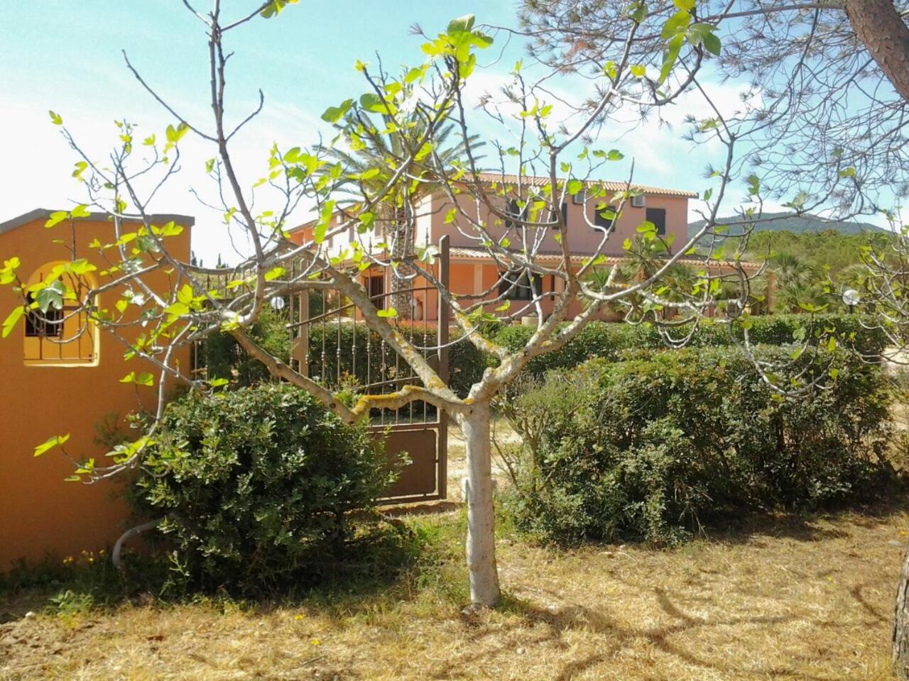 children's play area