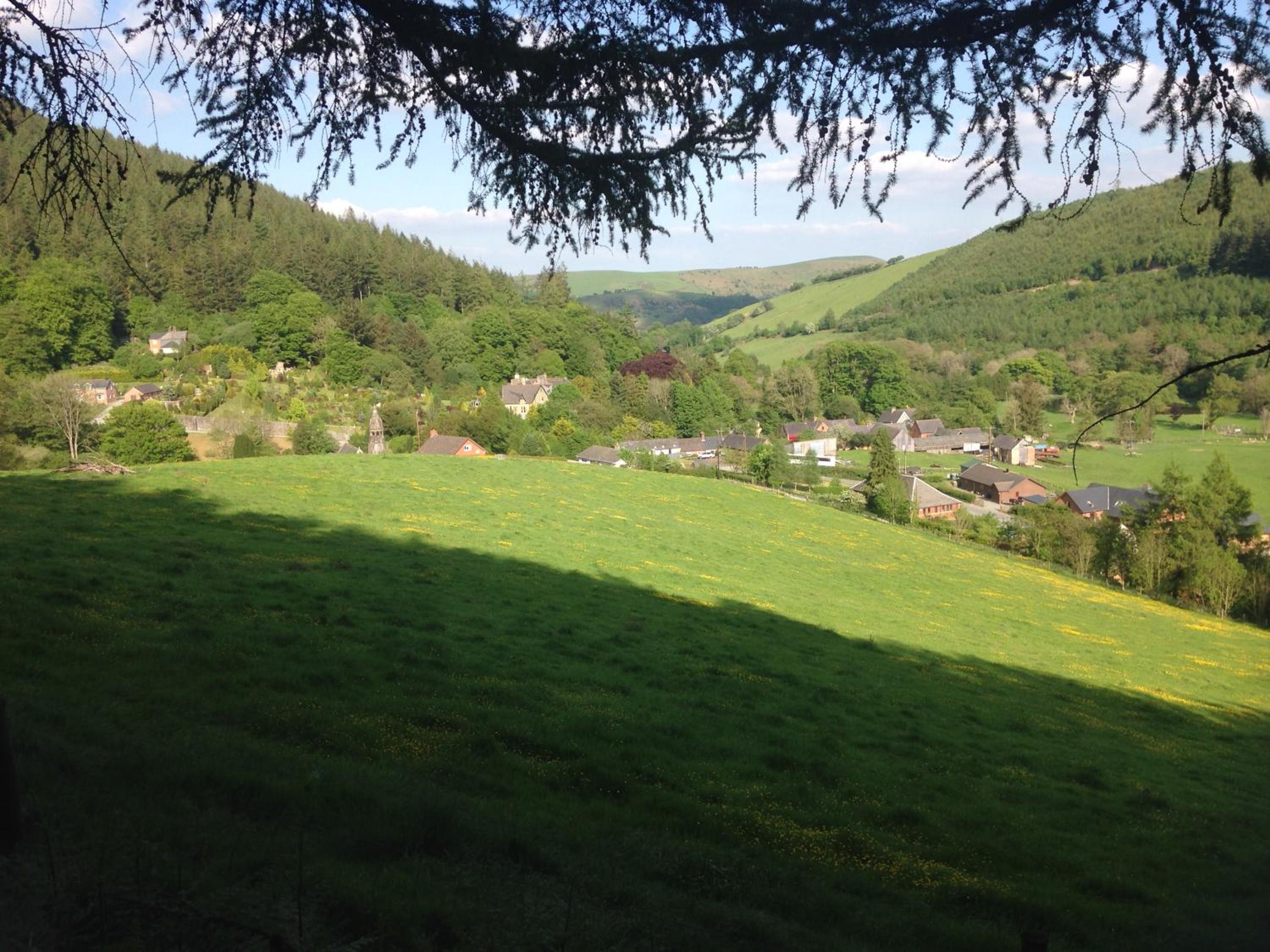 Laurel Bank view 3