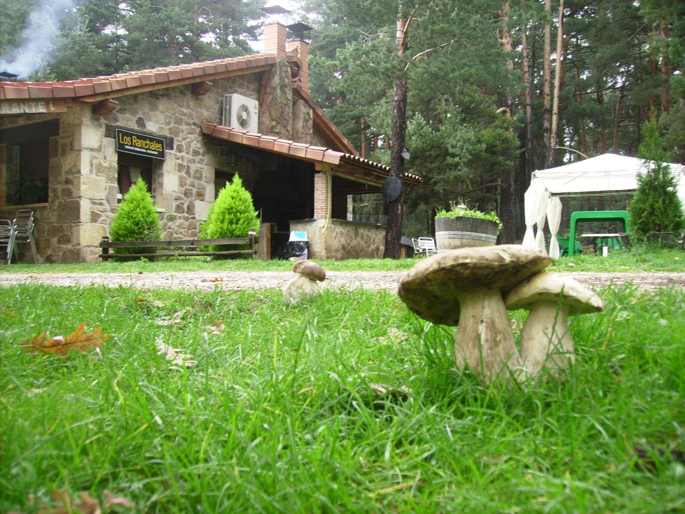 Photo 23