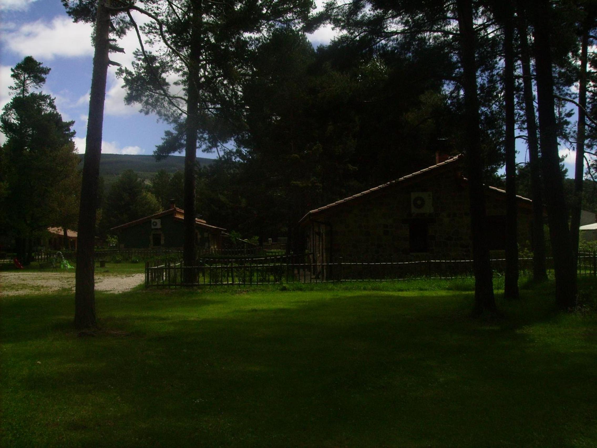 Photo 36