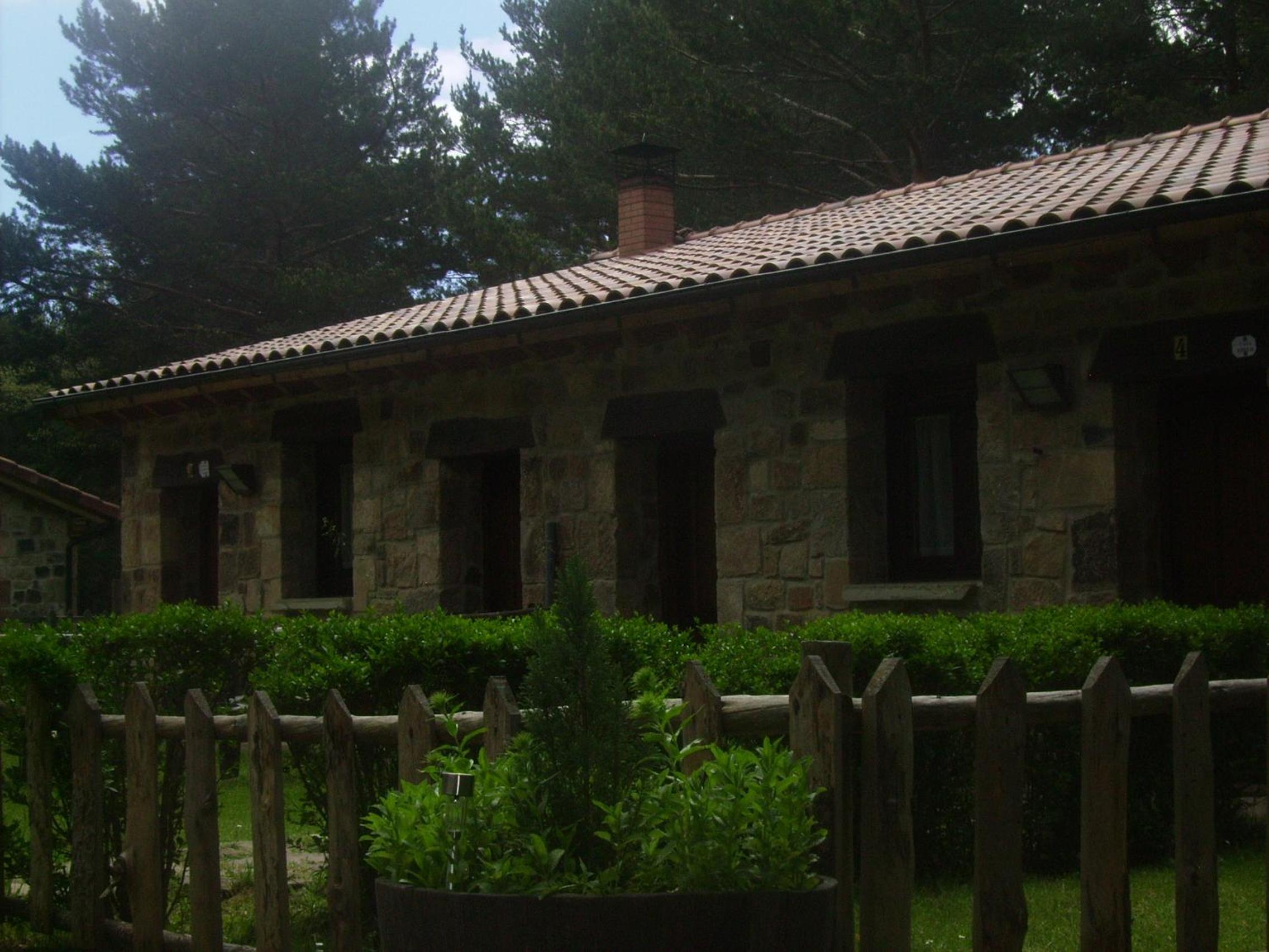 Photo 37