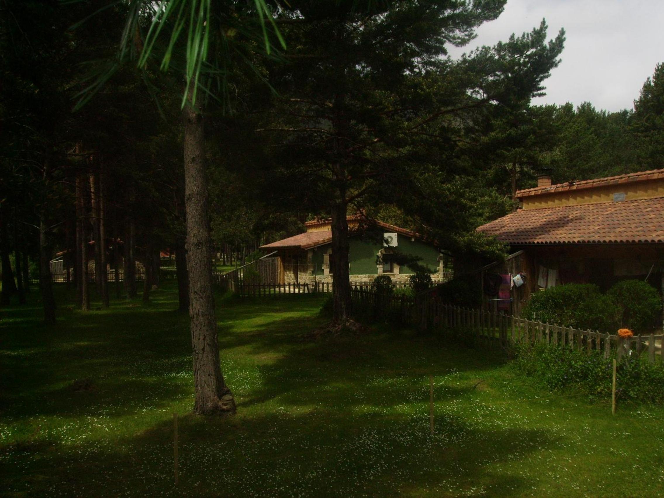 Photo 22