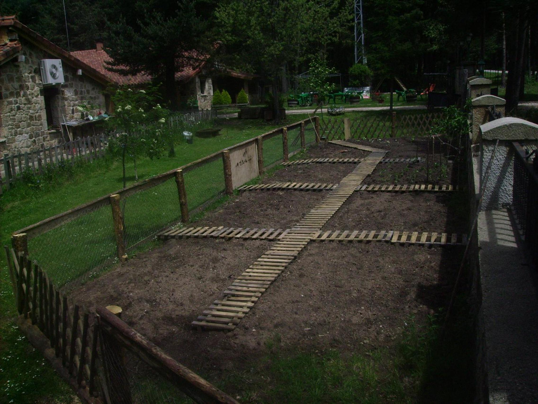 Photo 25