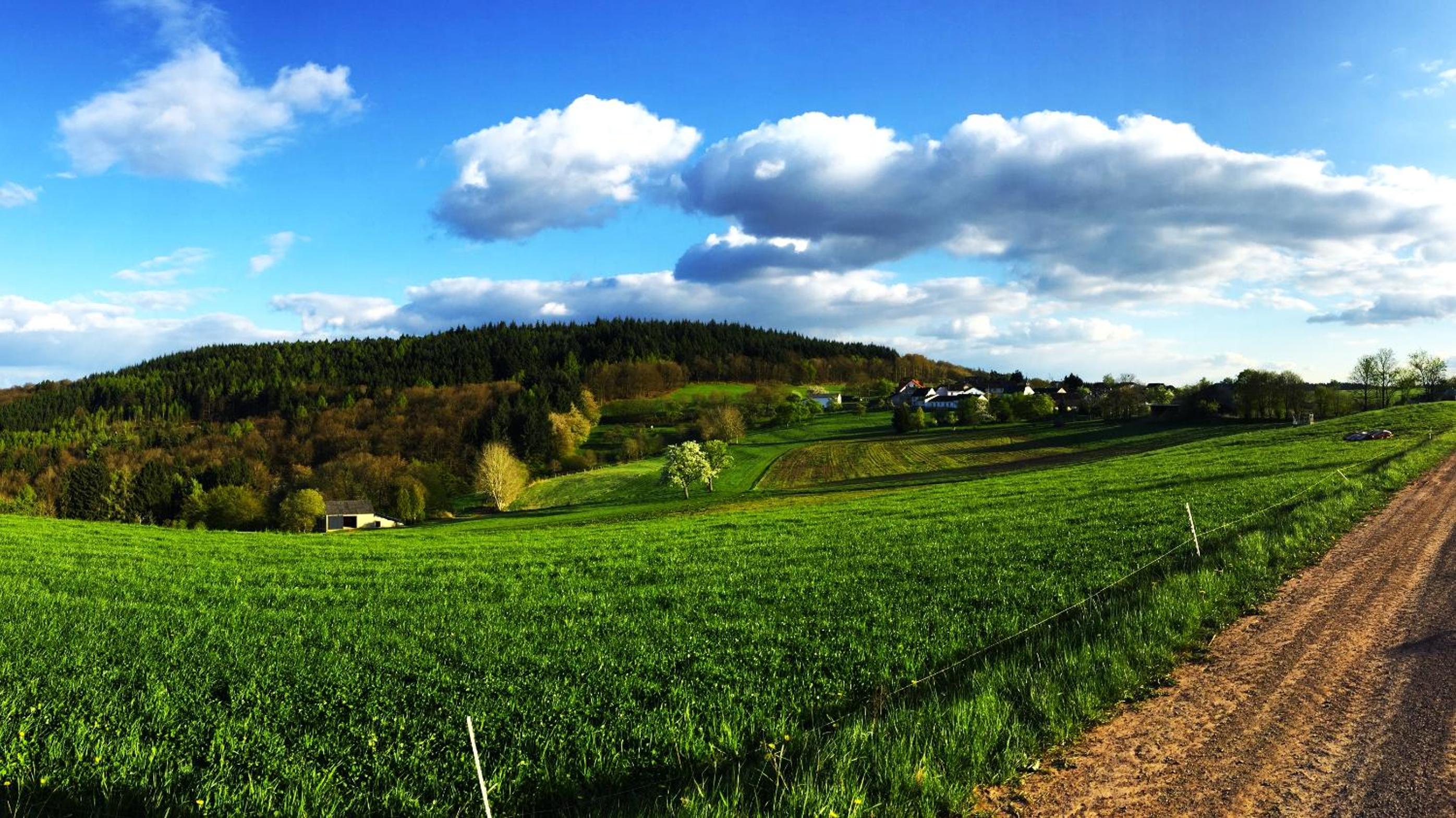 Auszeit-Eifel Eifelhaus "Burgaß 1807" Sauna & Badezuber view 5