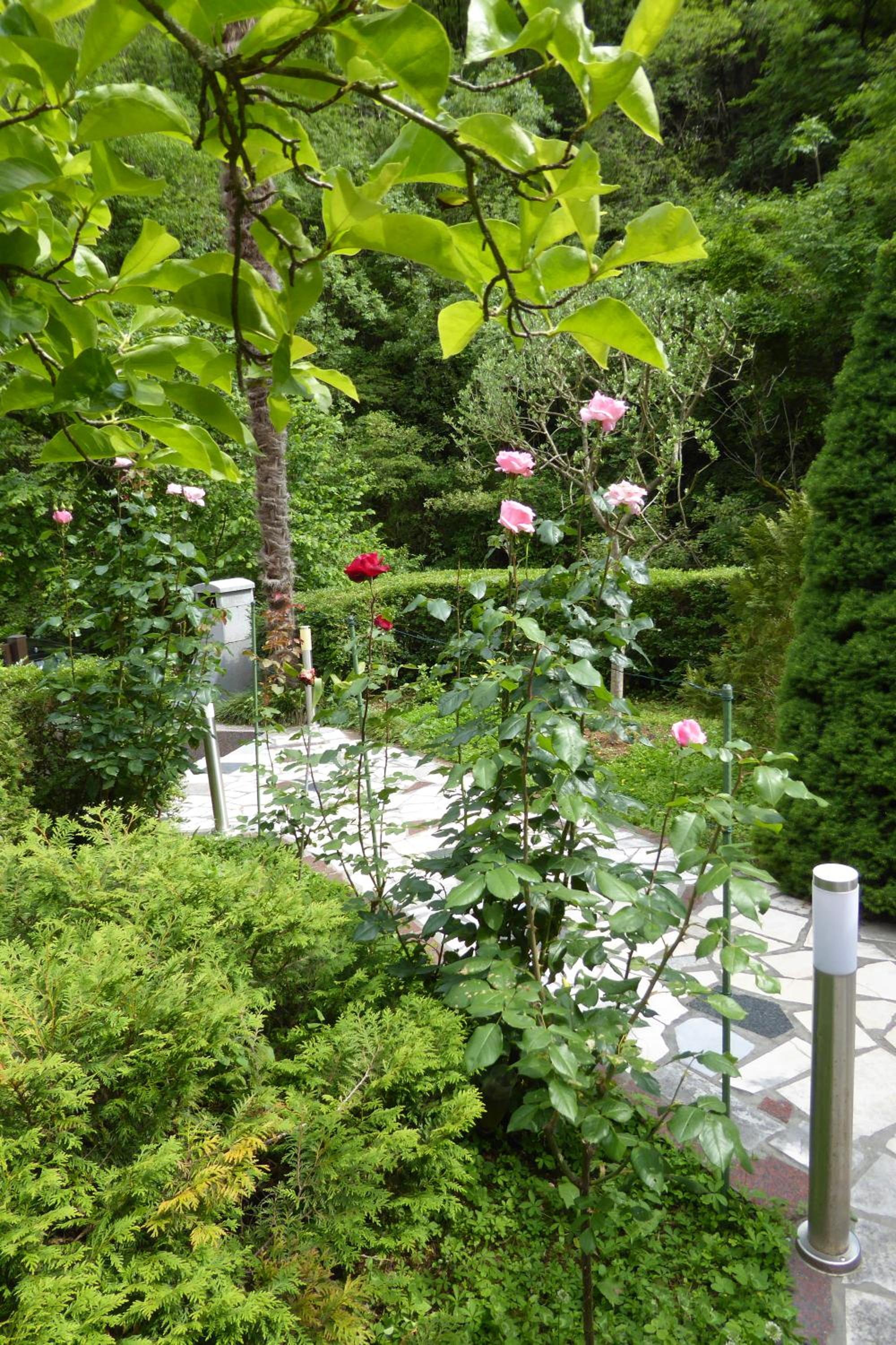 Photo 19