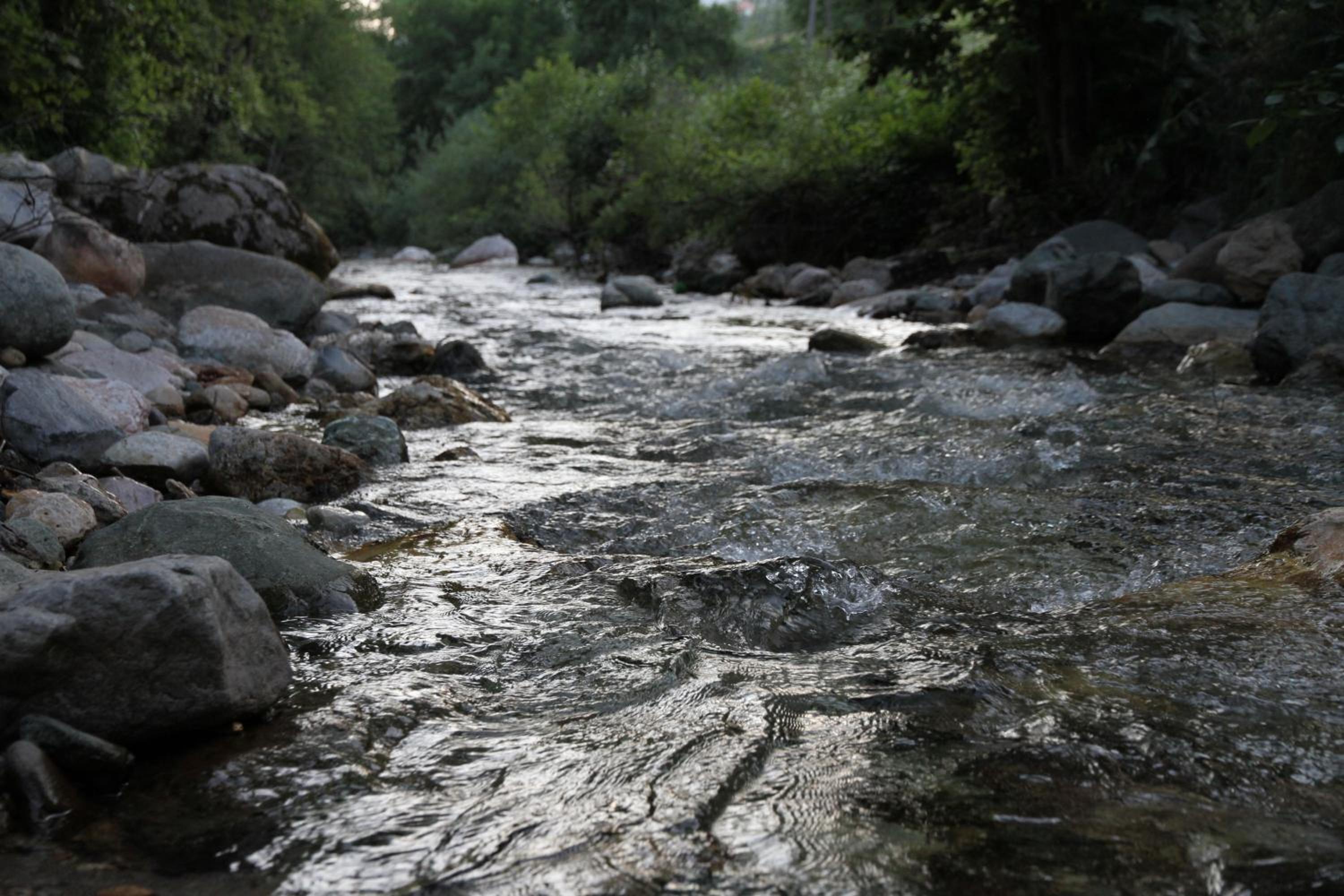 Photo 25
