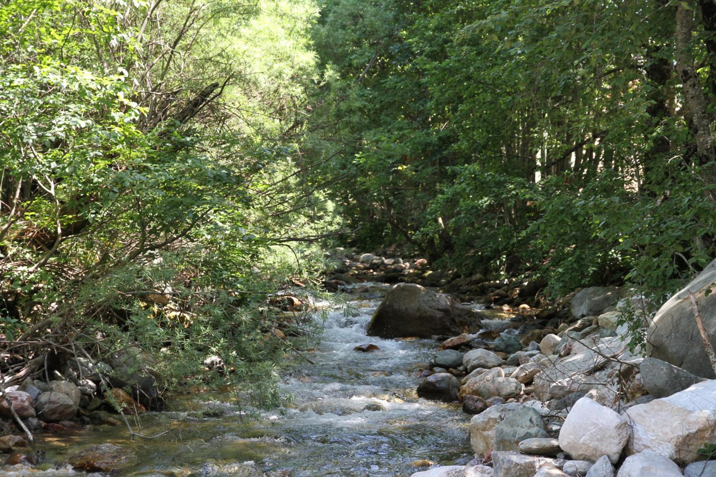 Photo 23