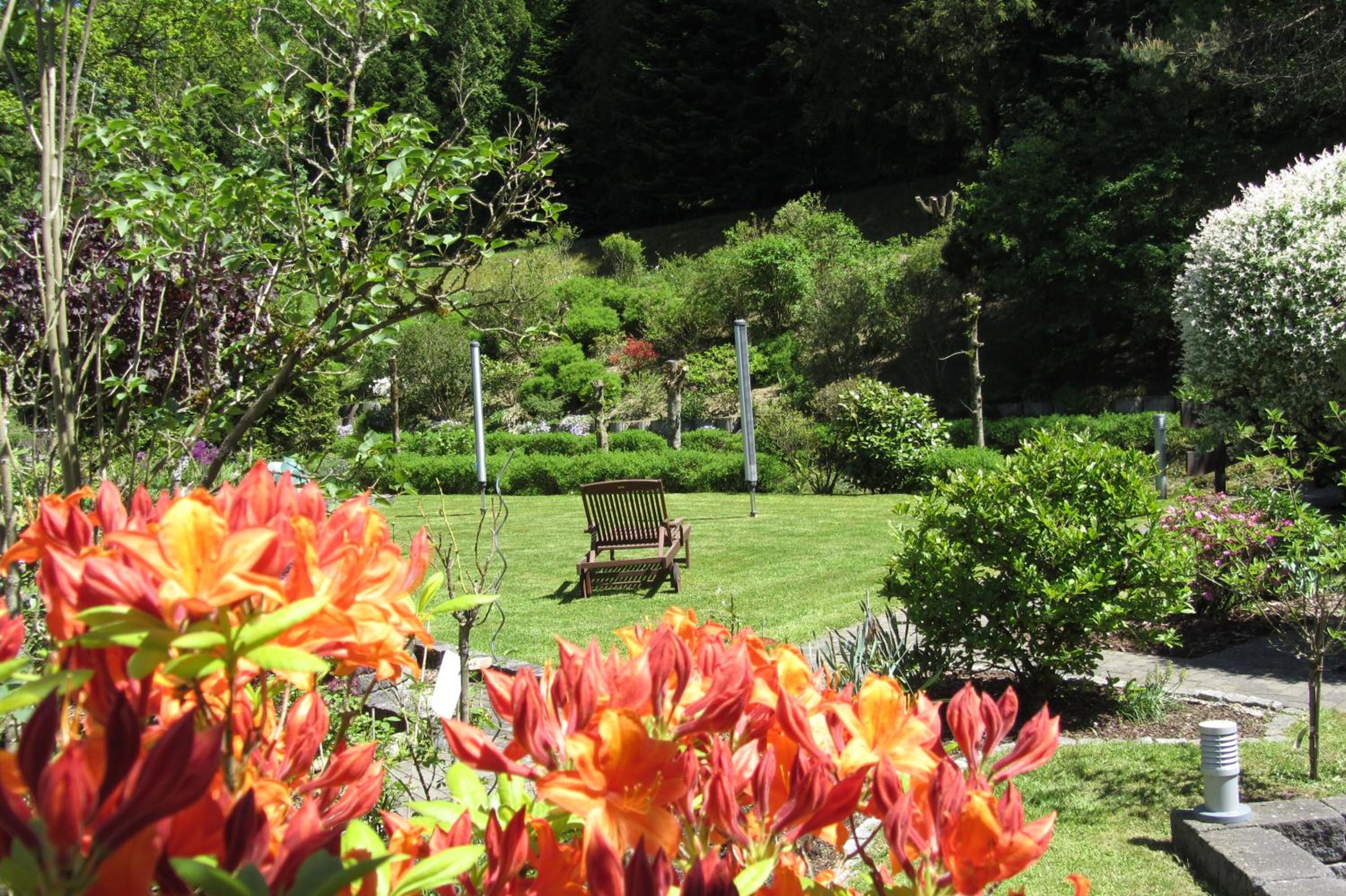 Pension zum Rothaarsteig