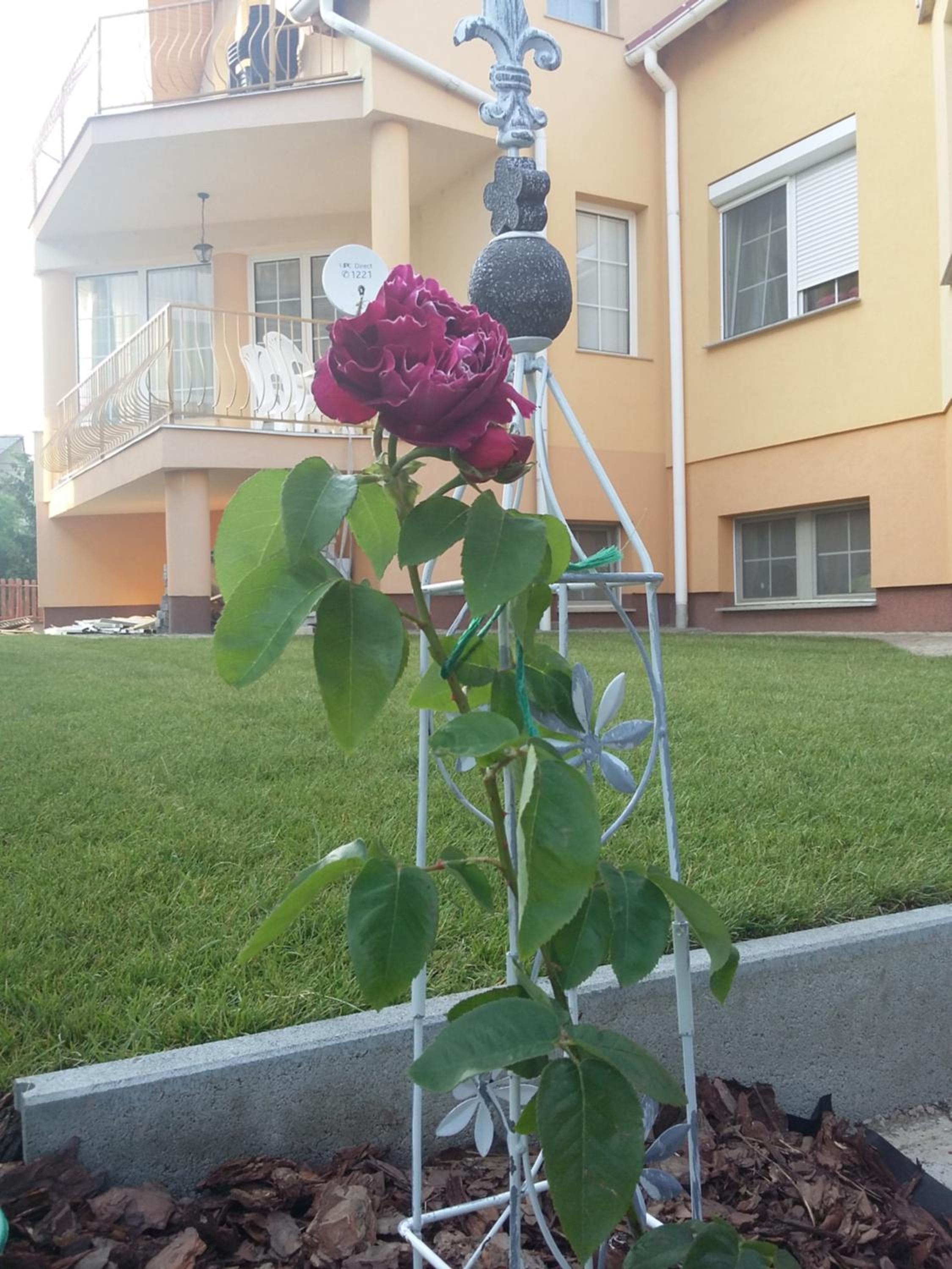 Photo 26