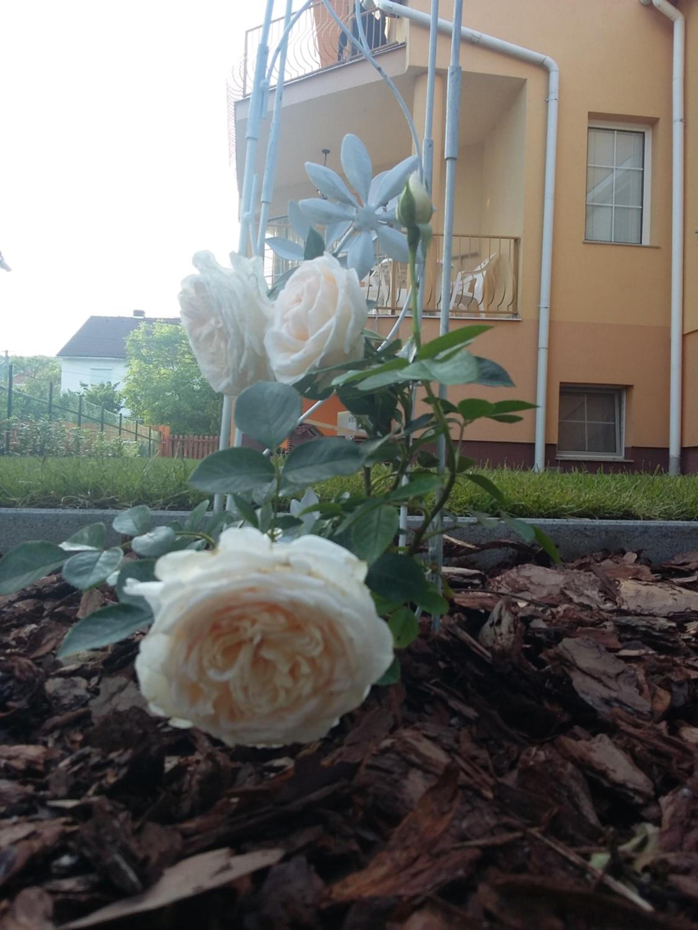 Photo 27