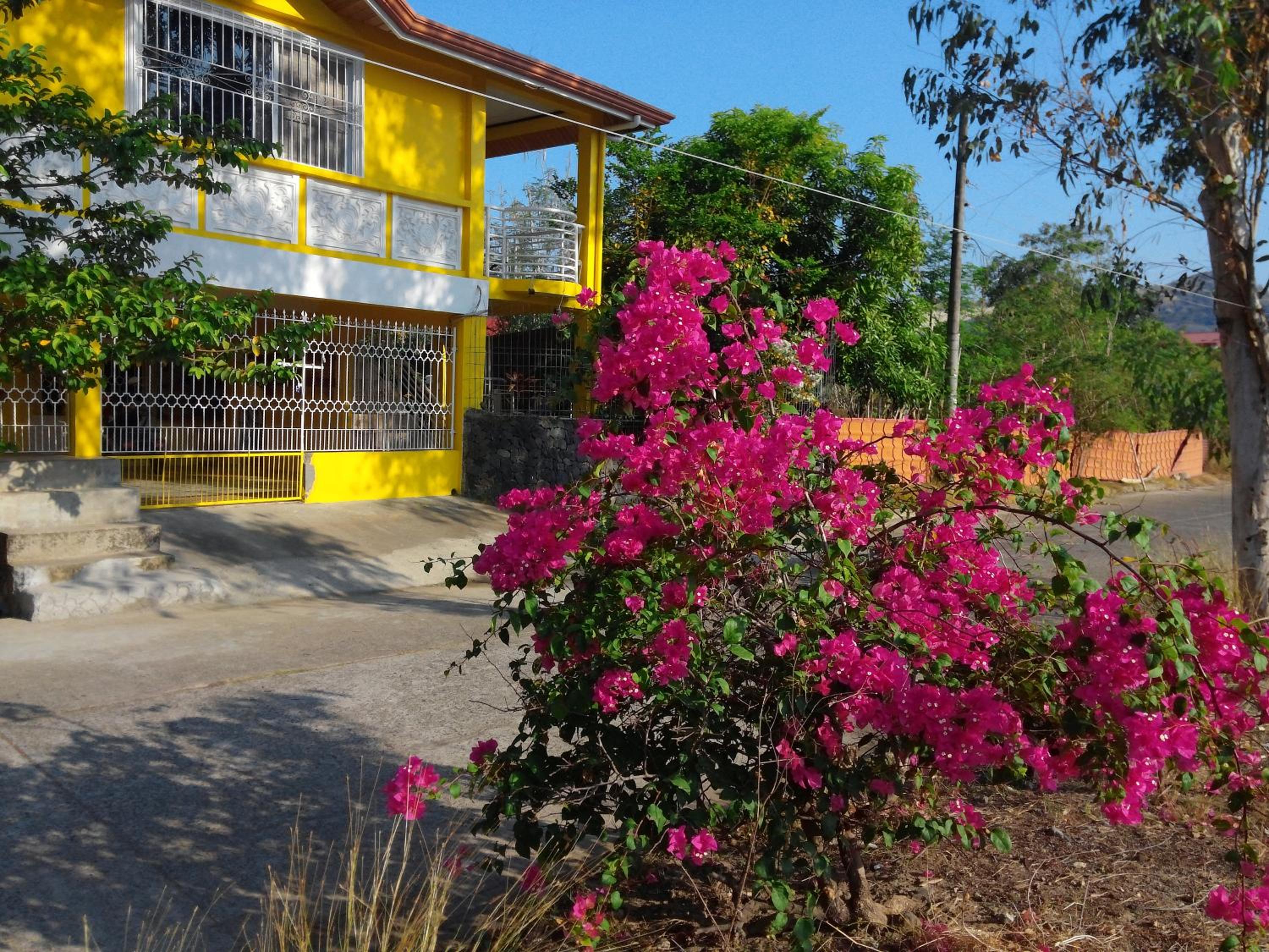 Yellow House Vacation Rental