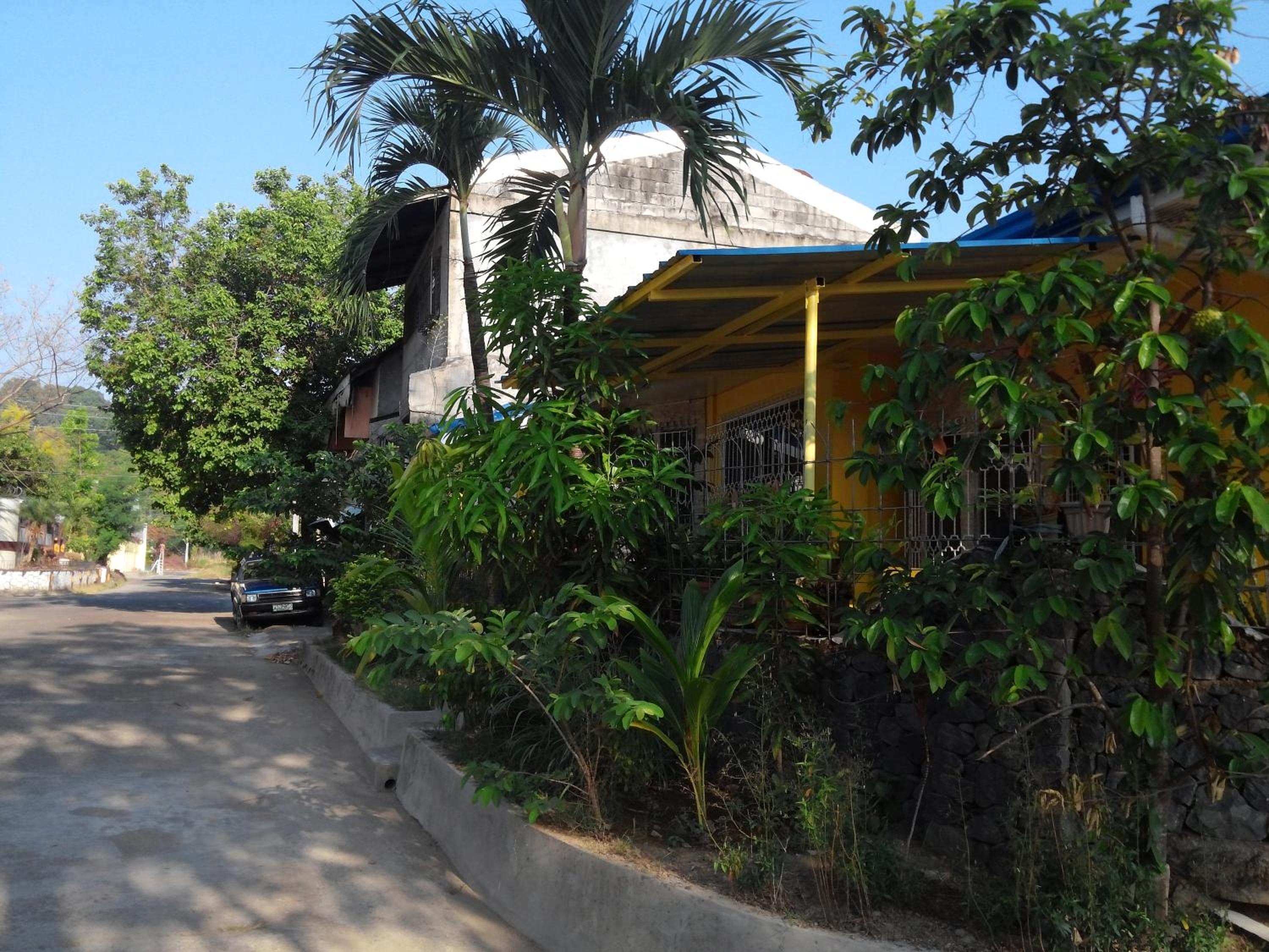 Yellow House Vacation Rental