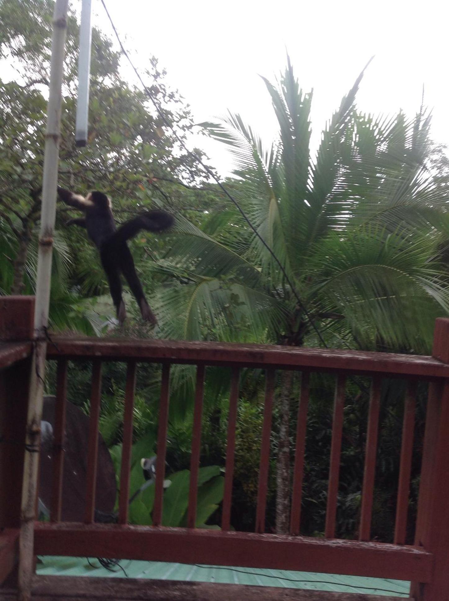 Casa Manglar Villa