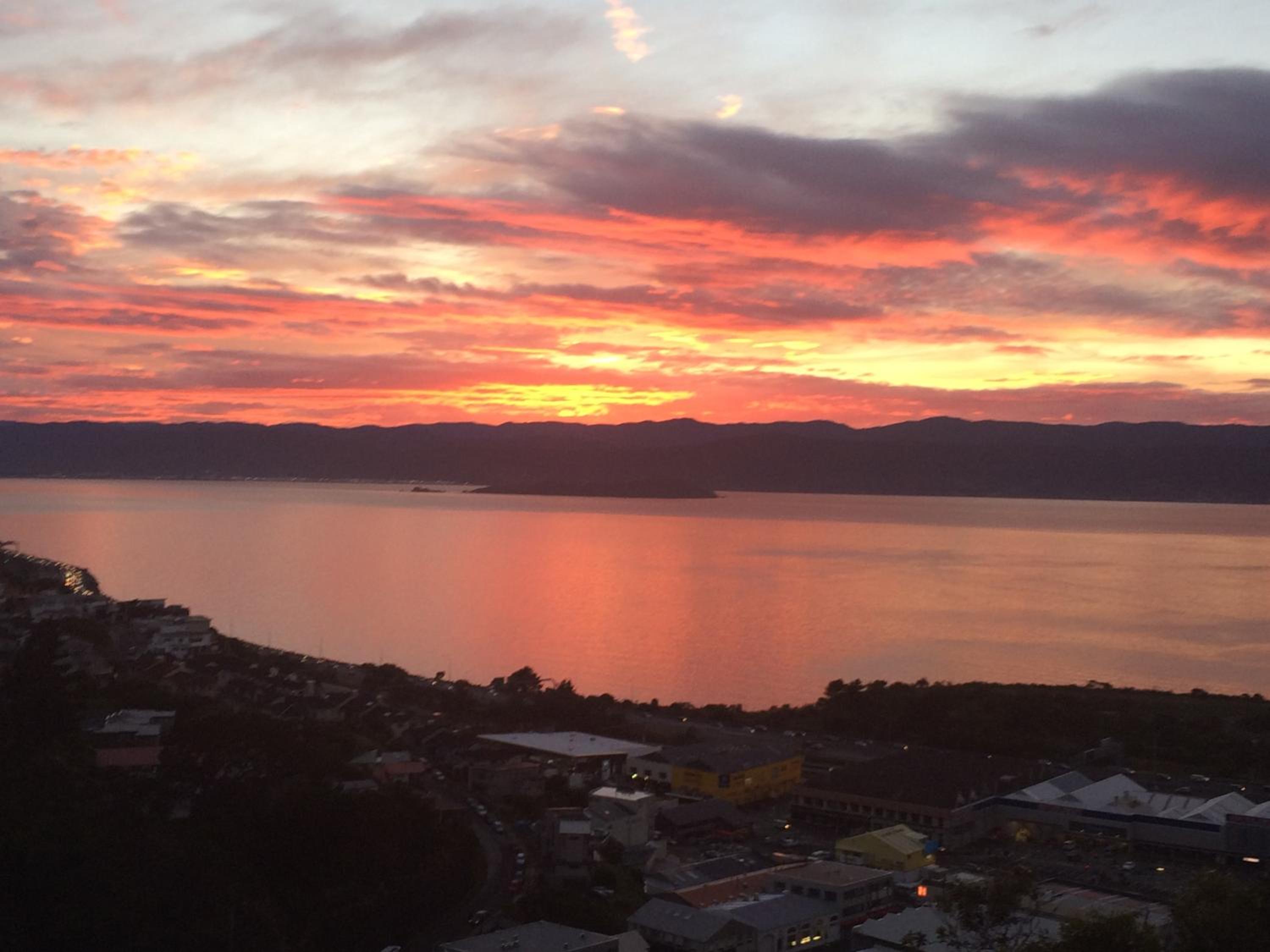 Harbour Lodge Wellington view 3