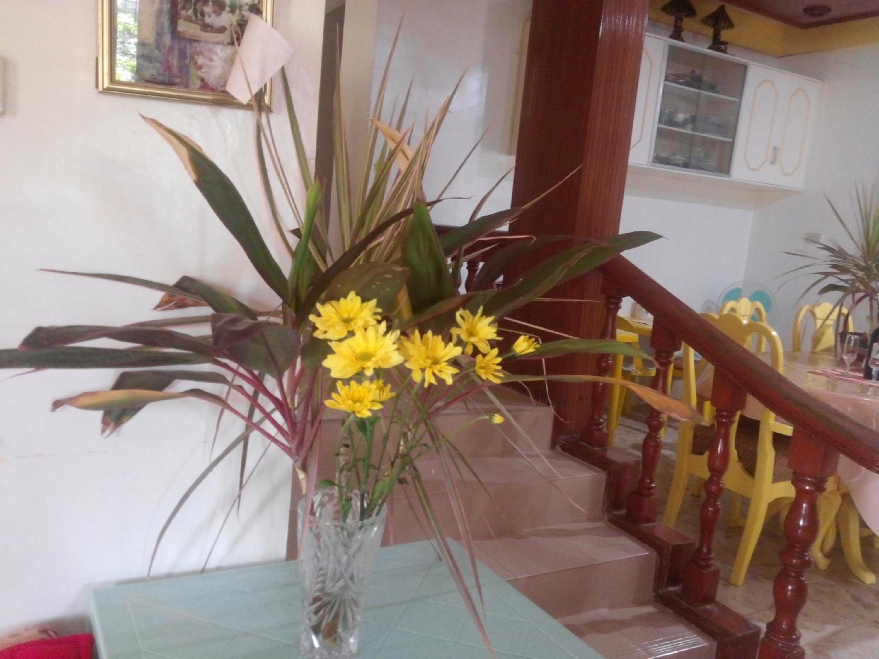 Yellow House Vacation Rental