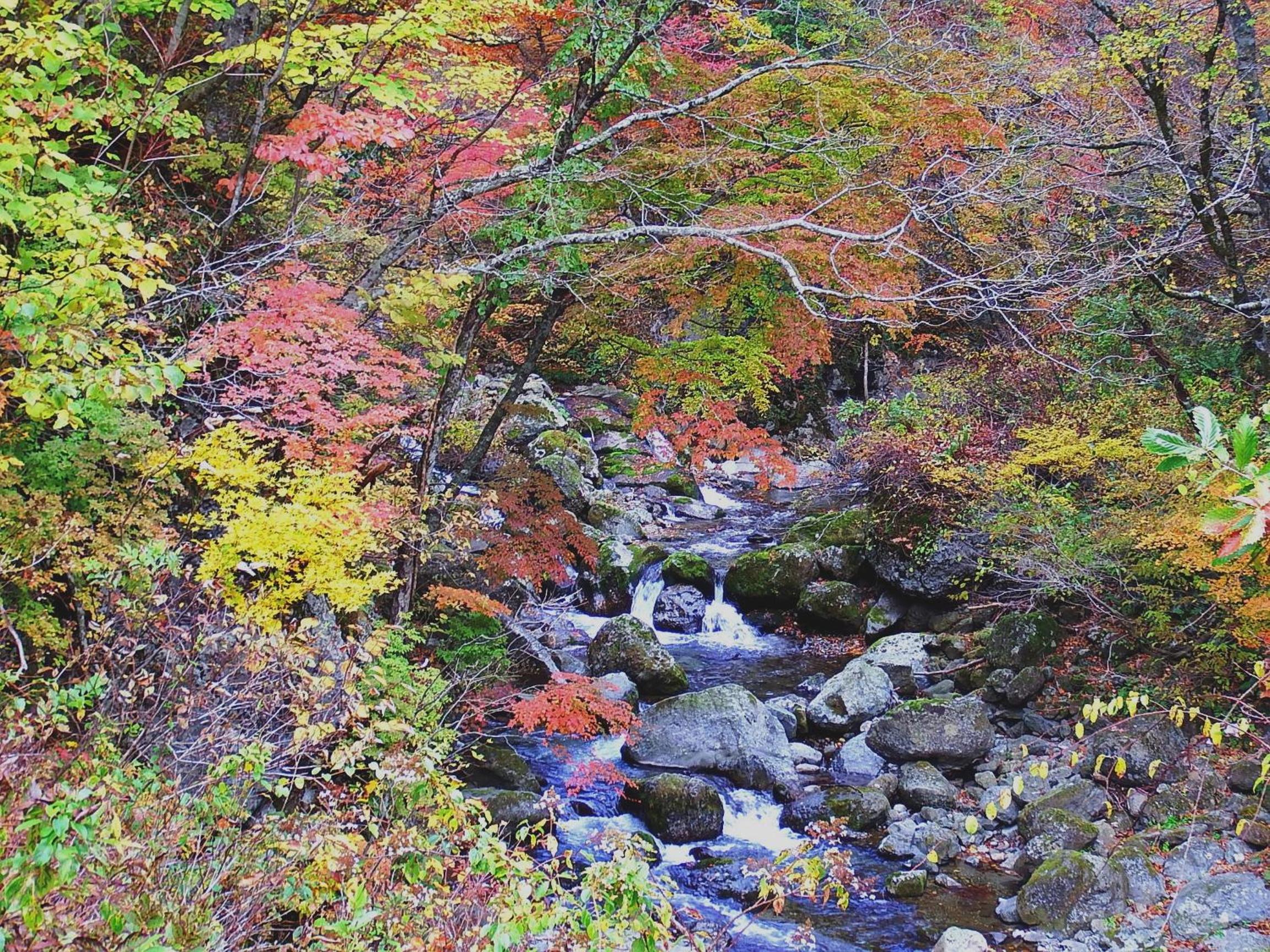 Yamagataya