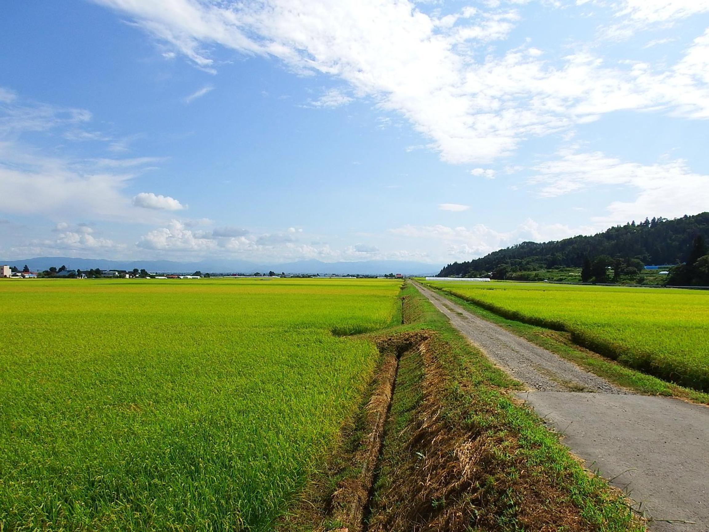 Yamagataya