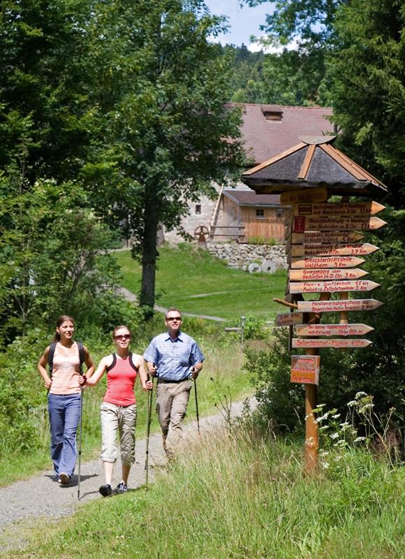 Landgasthof Am Sonnenhang - Property Image 14