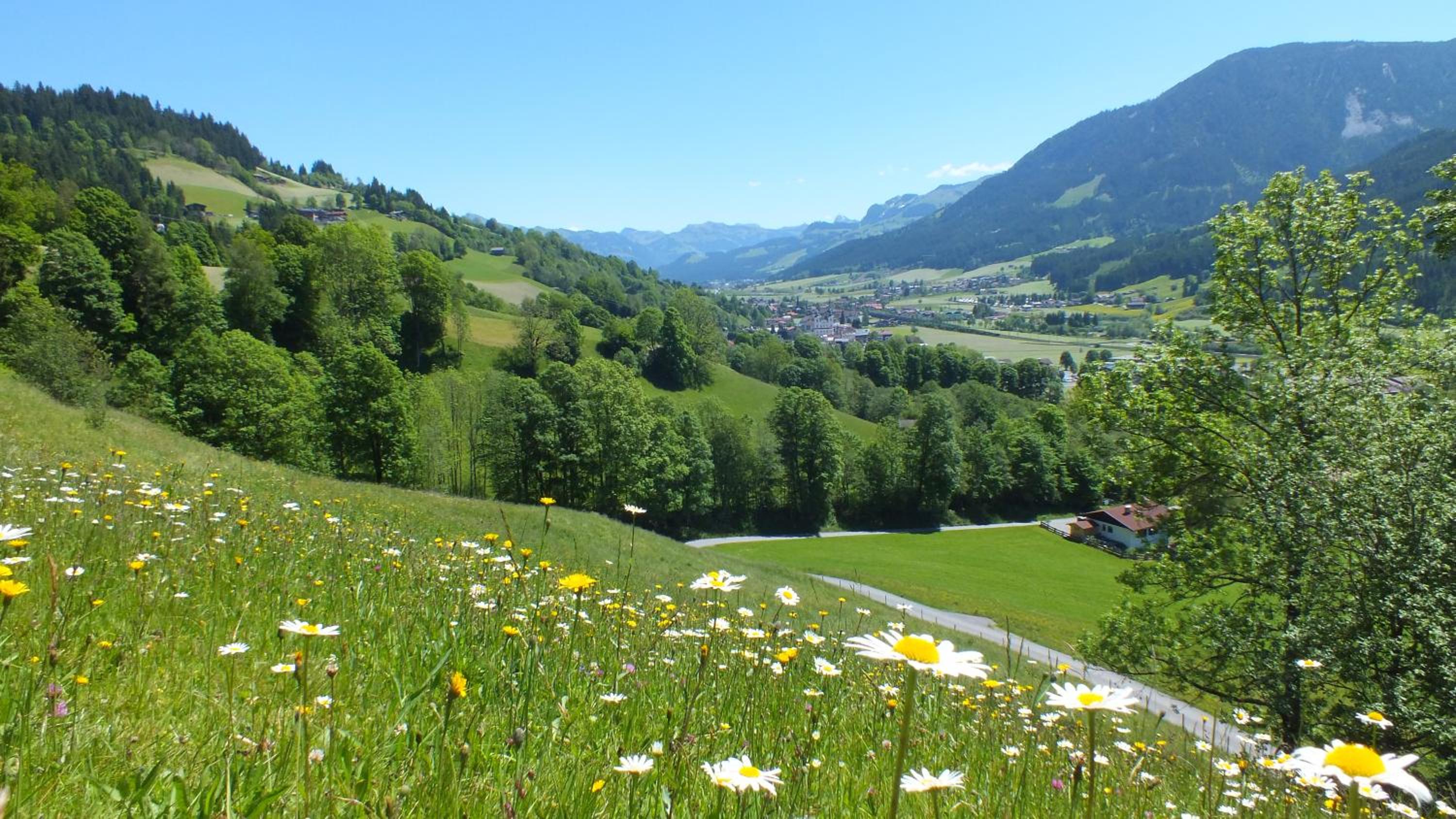 Franbichl